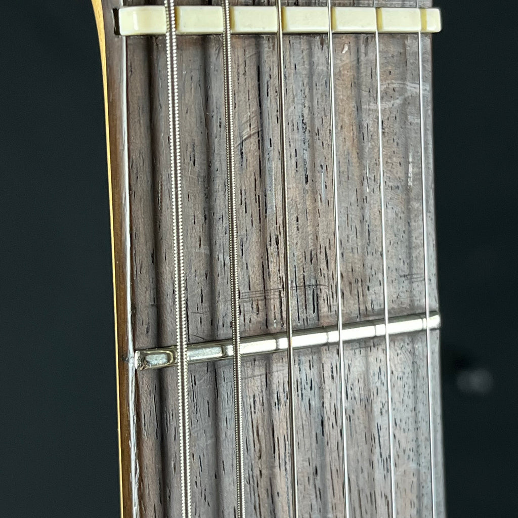 Bacchus Universe Series Stratocaster