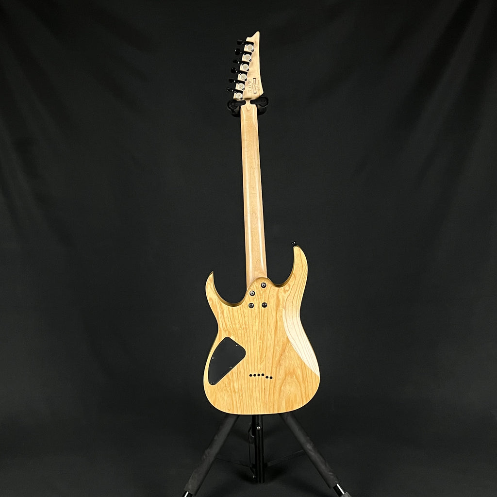 Ibanez RGR621XEBC
