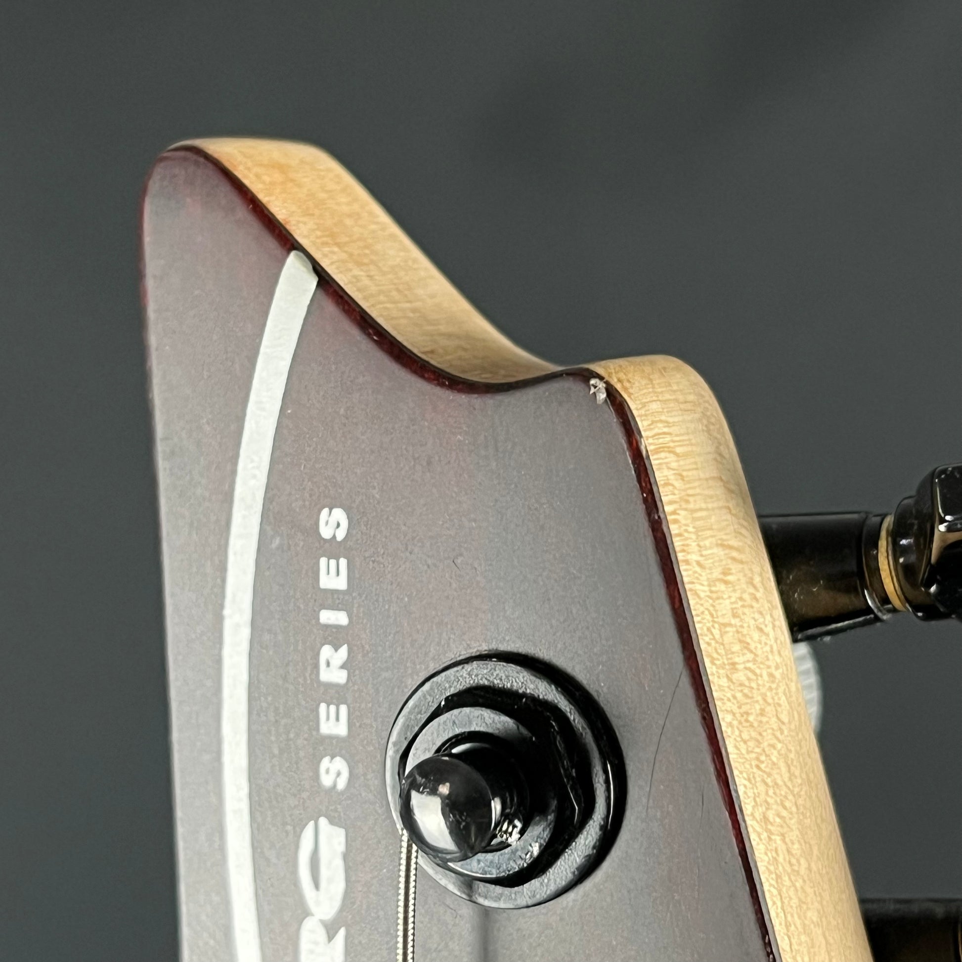 Ibanez RGR621XEBC