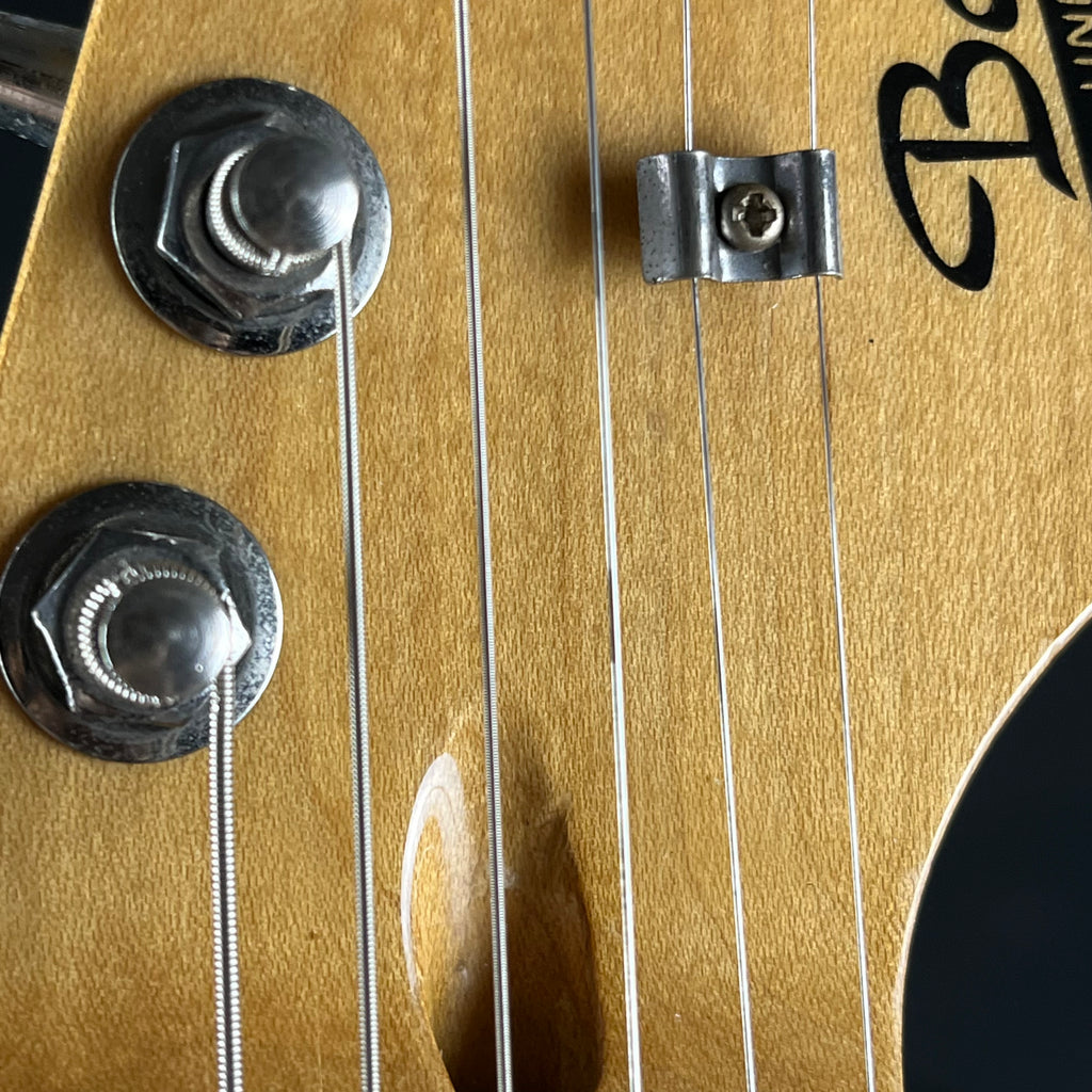 Bacchus Universe Series Stratocaster
