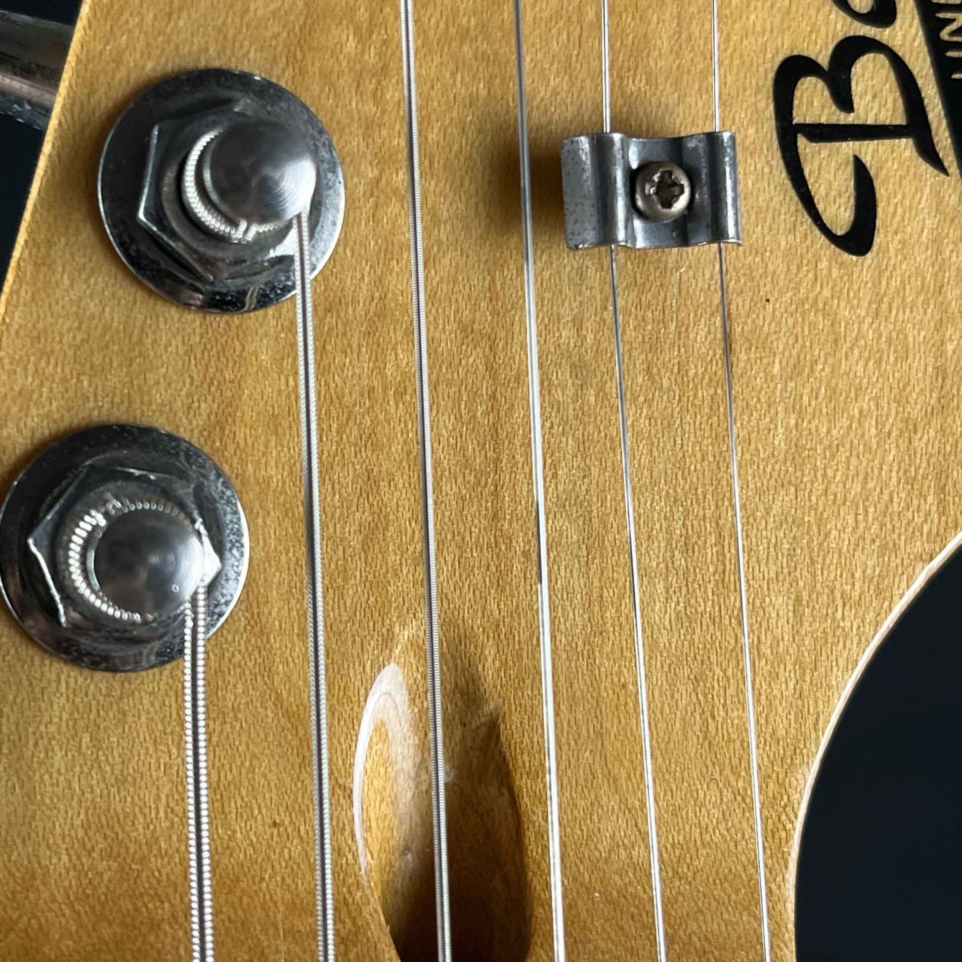 Bacchus Universe Series Stratocaster