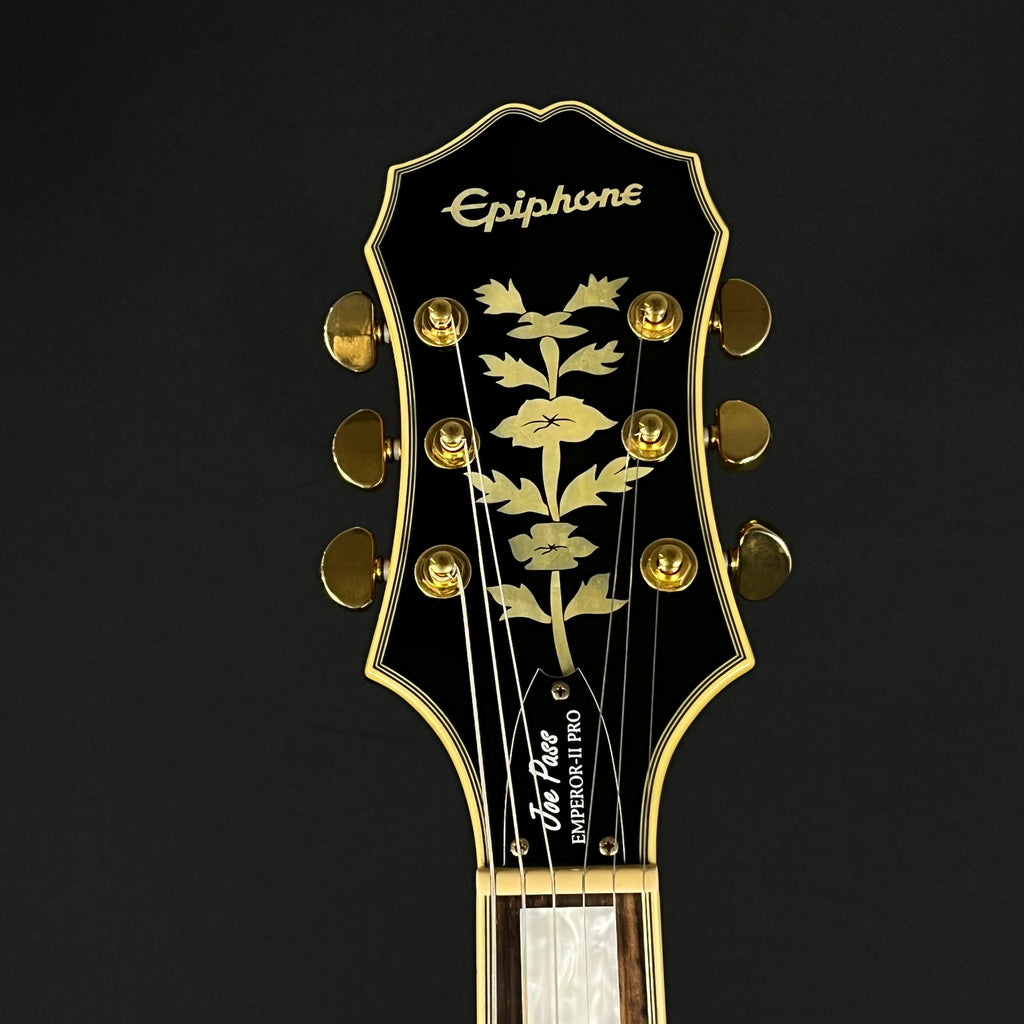 Epiphone Joe Pass Emperor-II Pro VS 2016