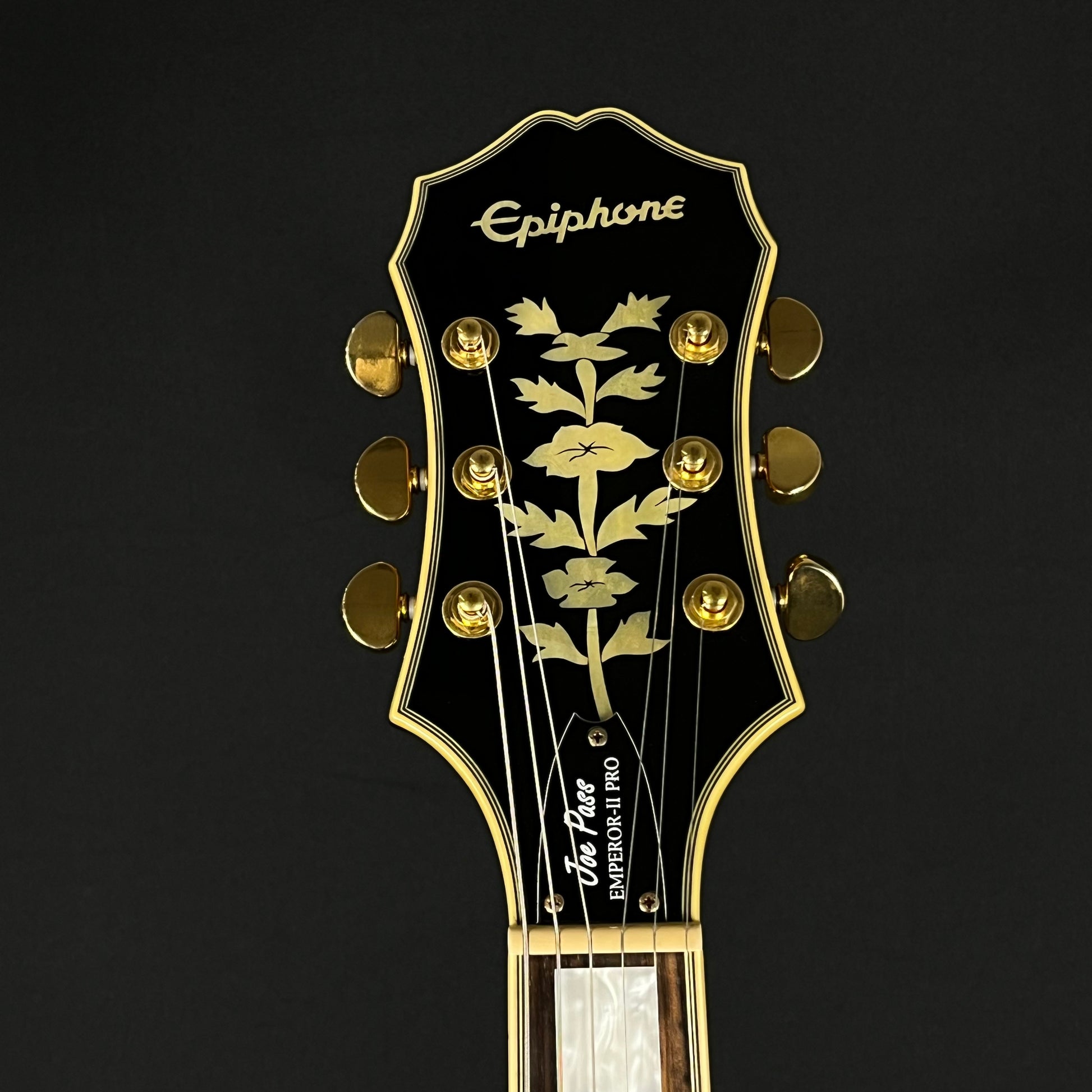 Epiphone Joe Pass Emperor-II Pro VS 2016