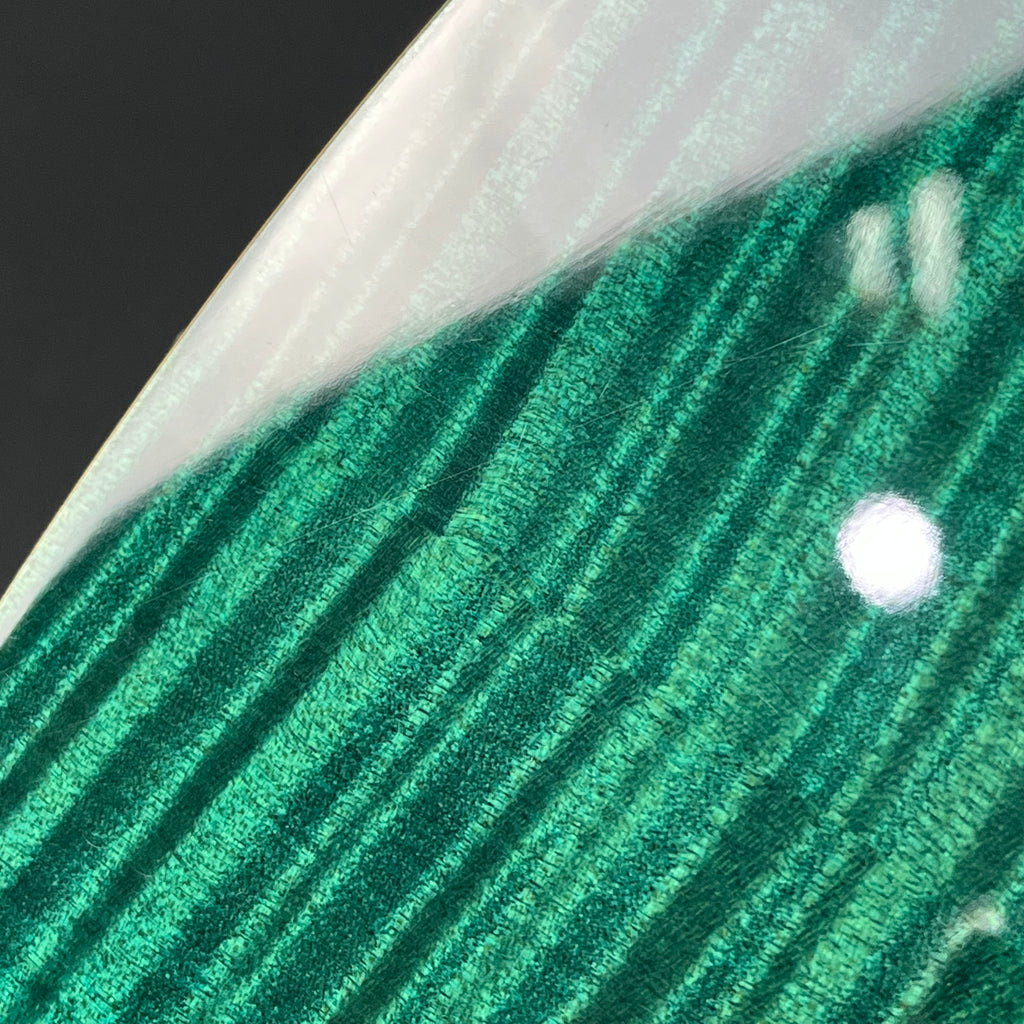 PRS Se Semi-Hollow Soapbar