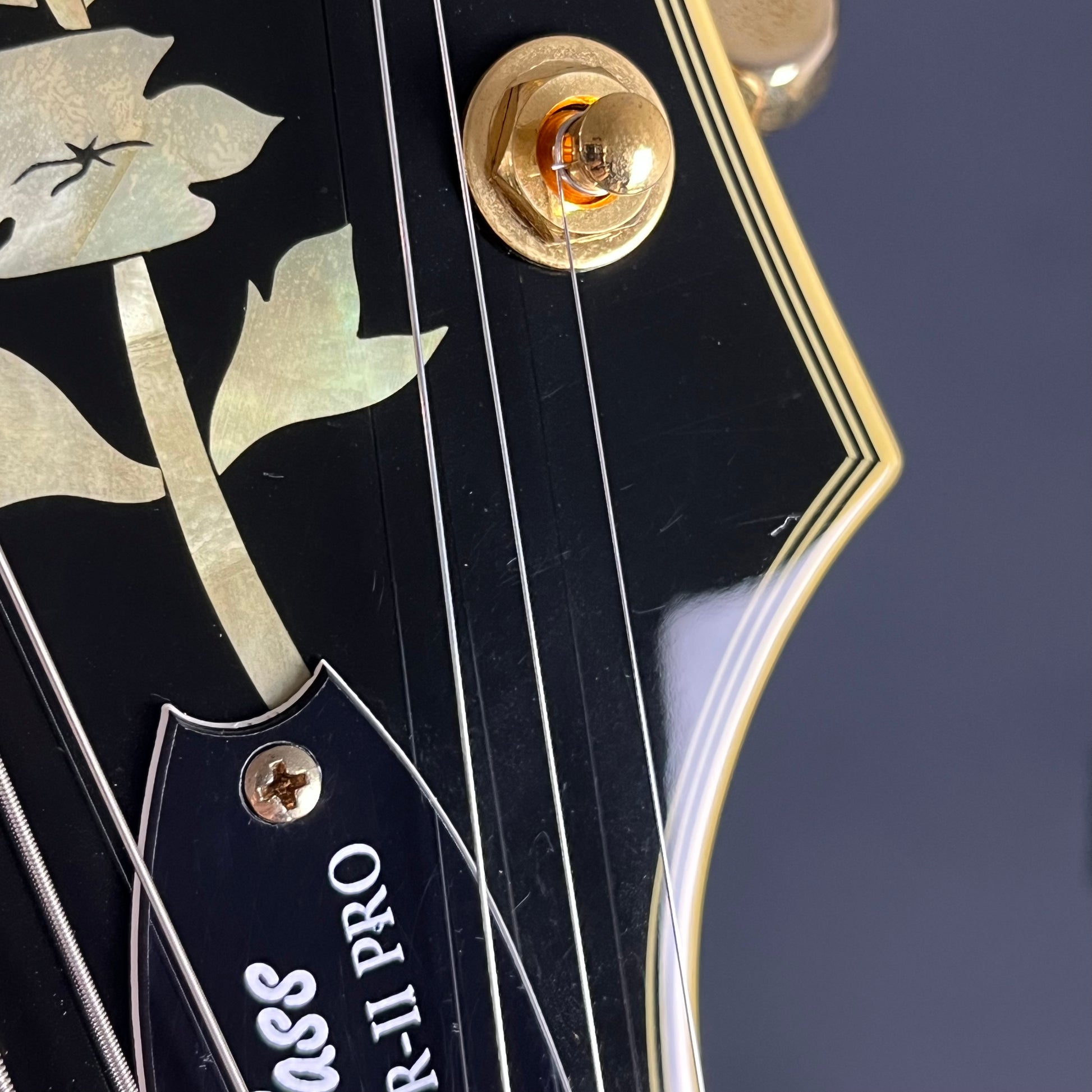 Epiphone Joe Pass Emperor-II Pro VS 2016