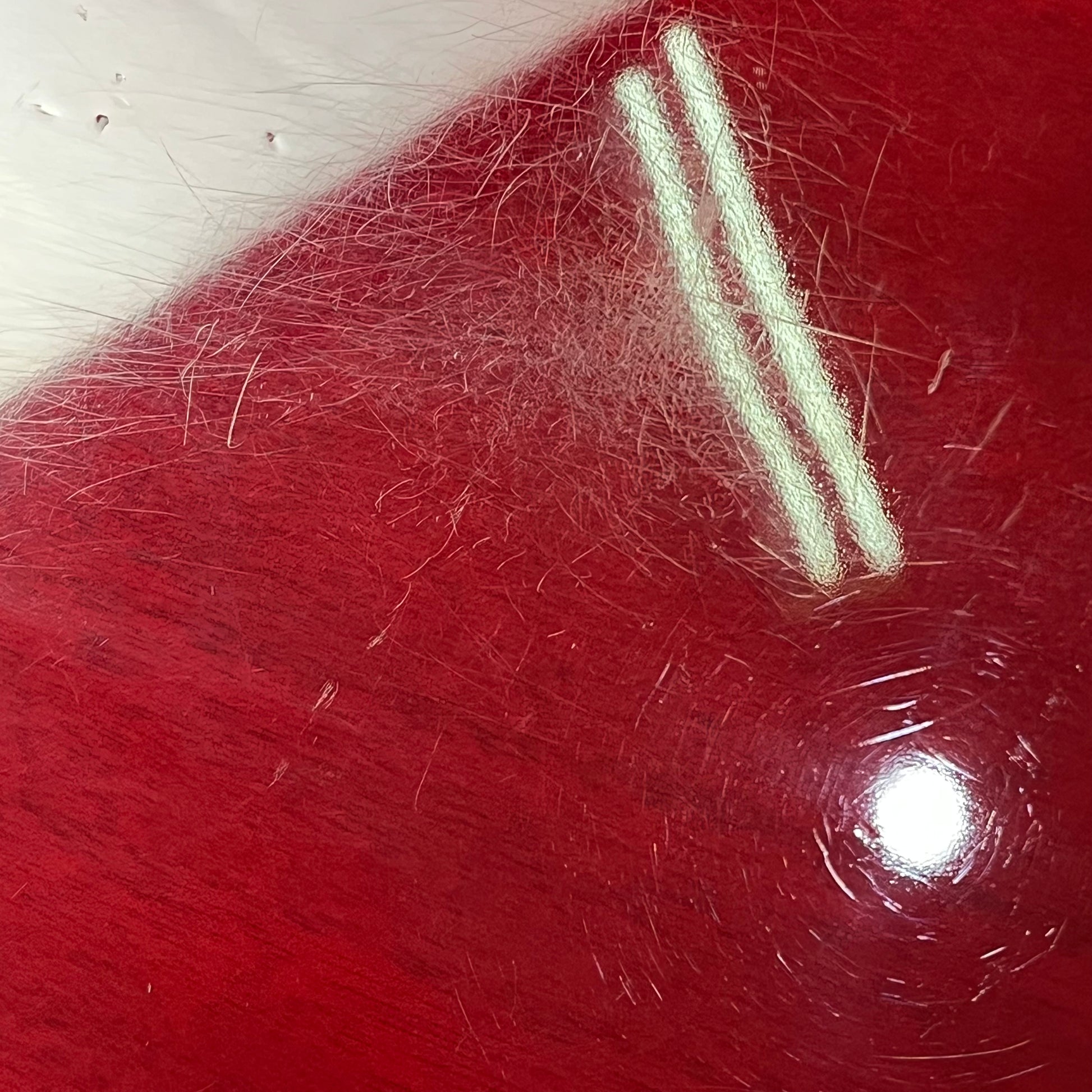 Epiphone Les Paul Junior