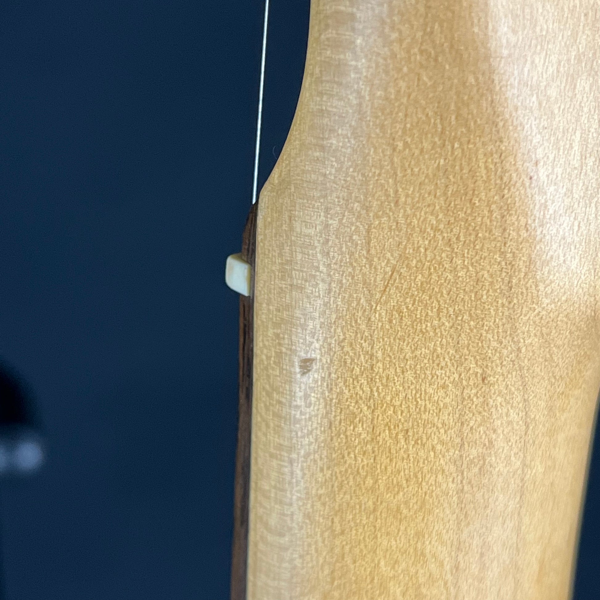 Bacchus Universe Series Telecaster