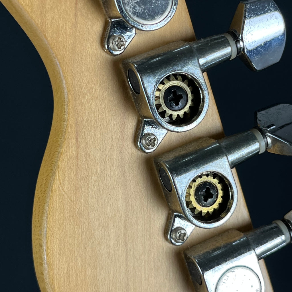 Bacchus Universe Series Telecaster