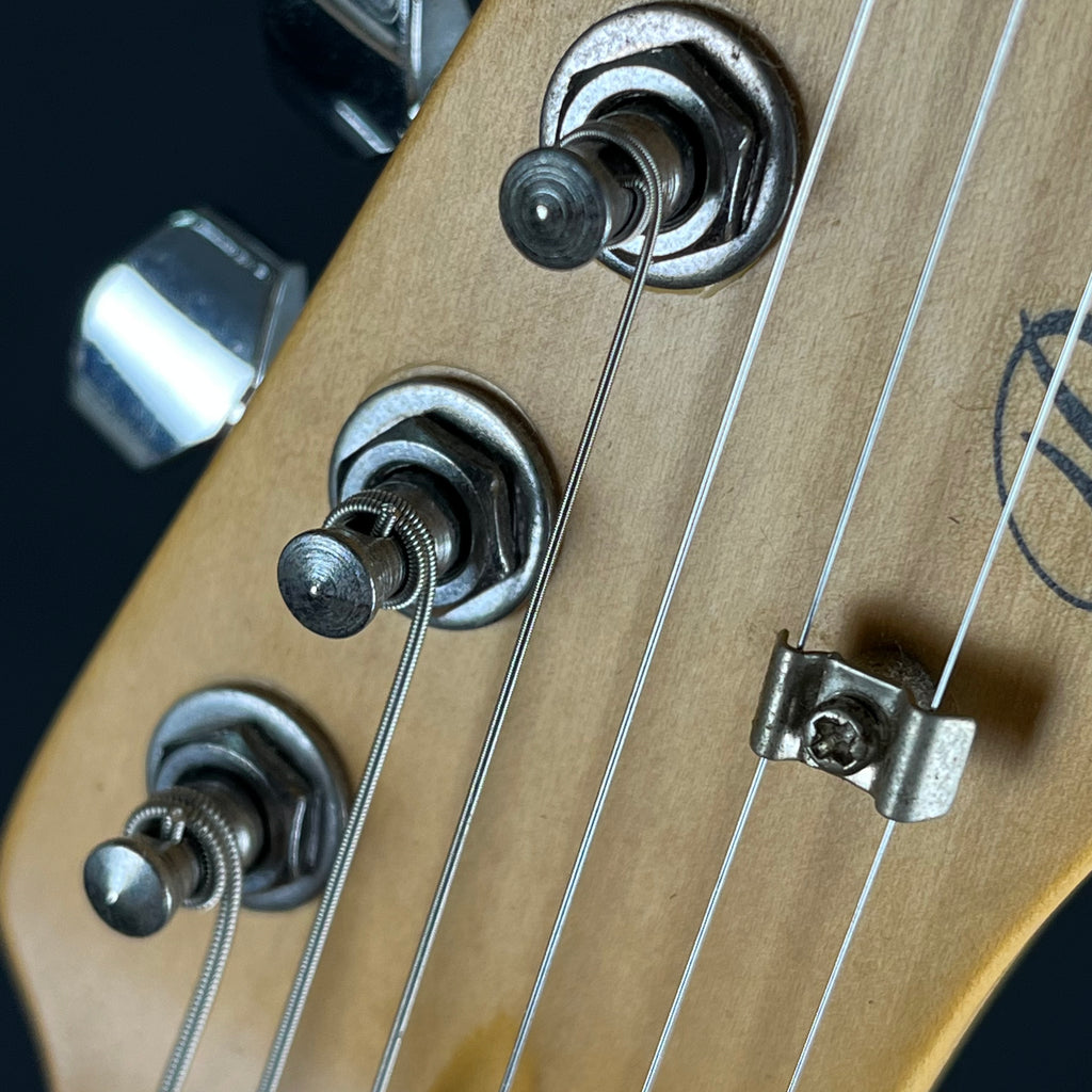 Bacchus Universe Series Telecaster