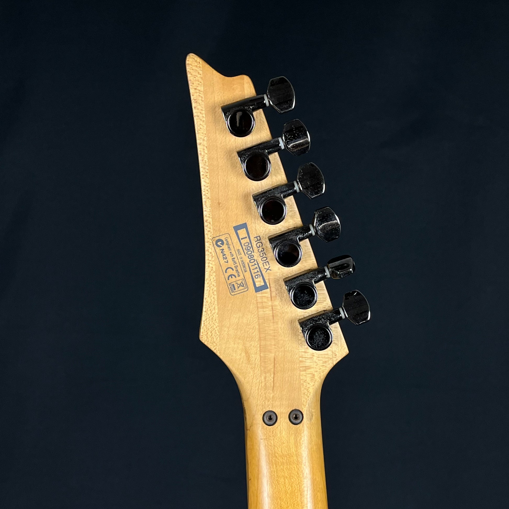 Ibanez RG350EX 2009