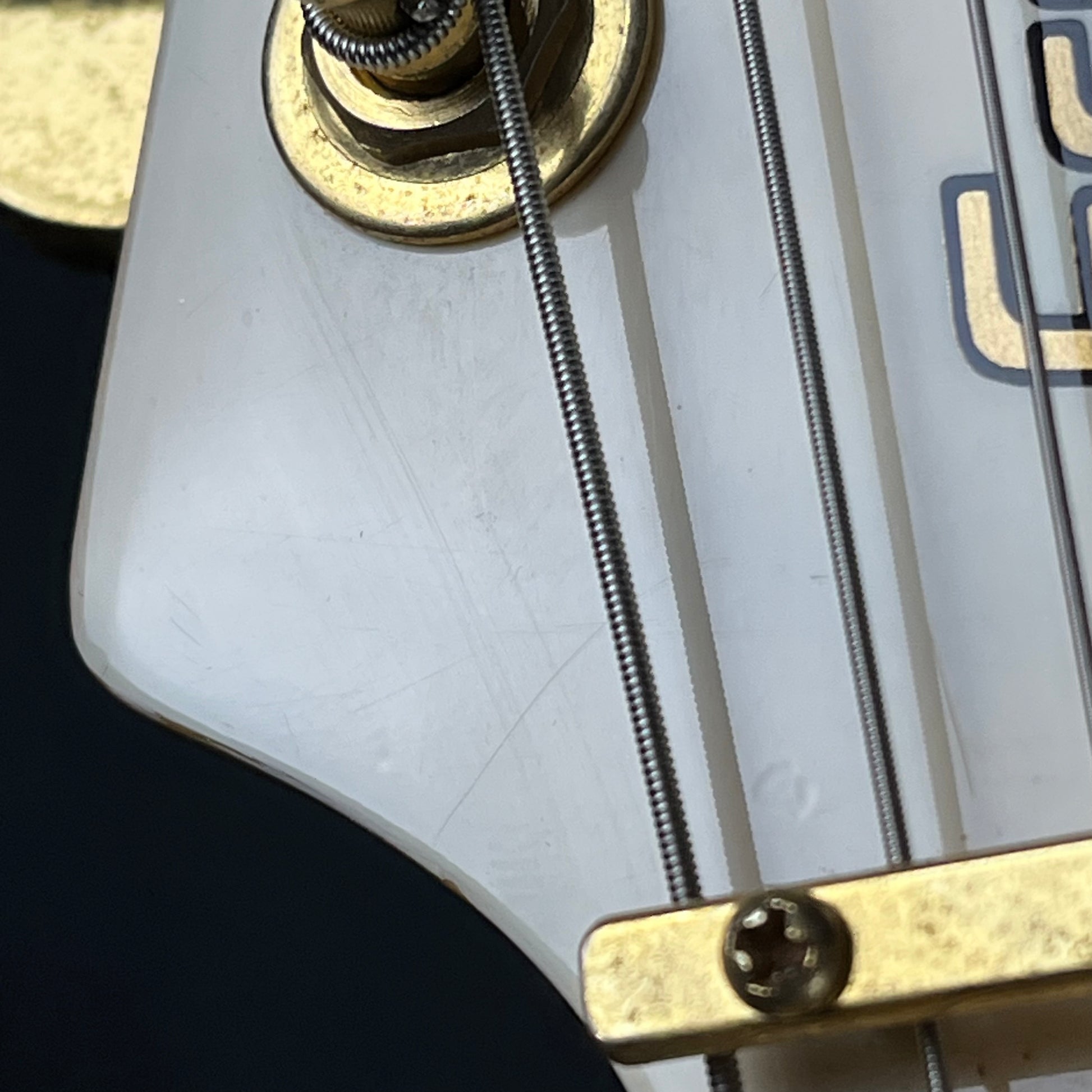 Fernandes FV-80K