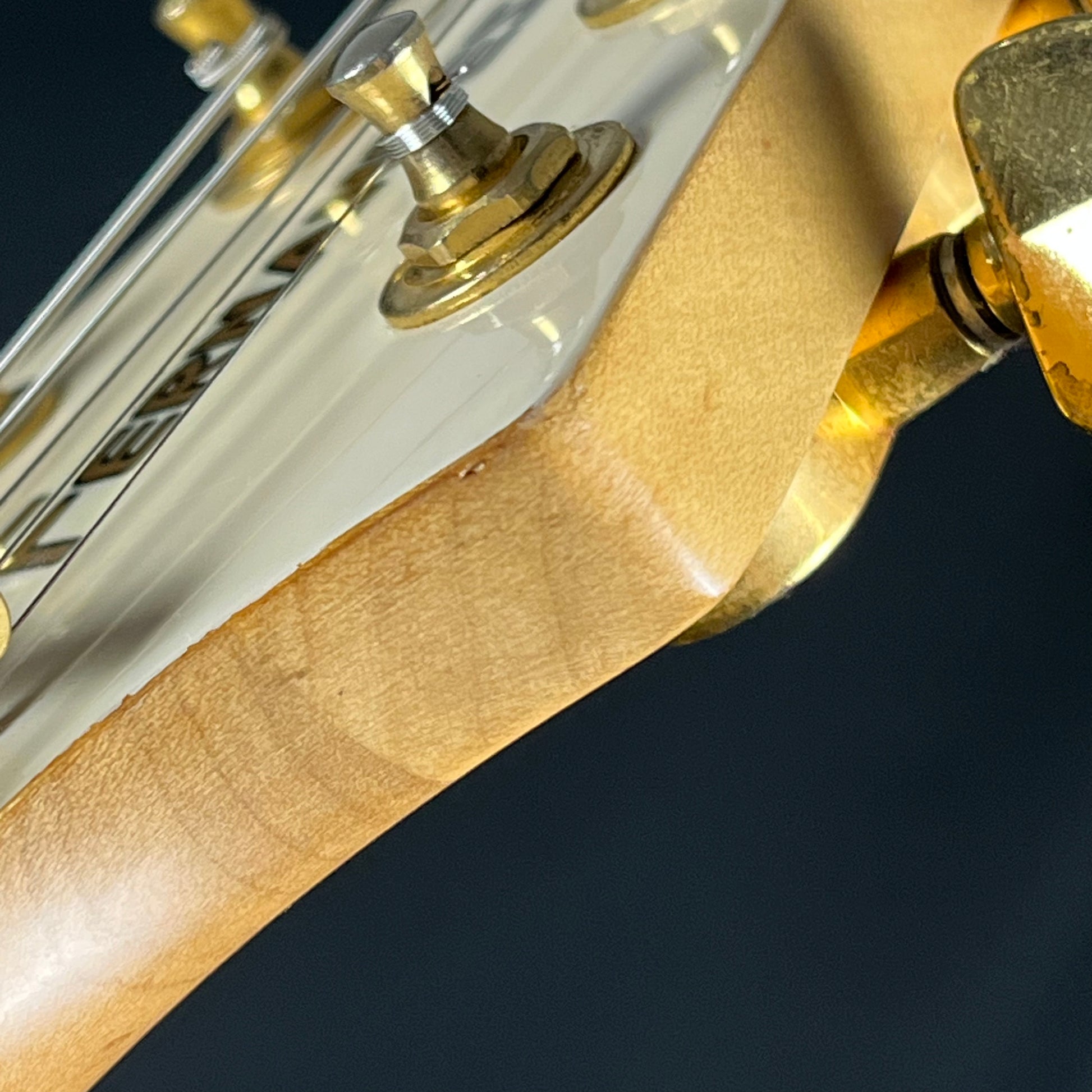 Fernandes FV-80K
