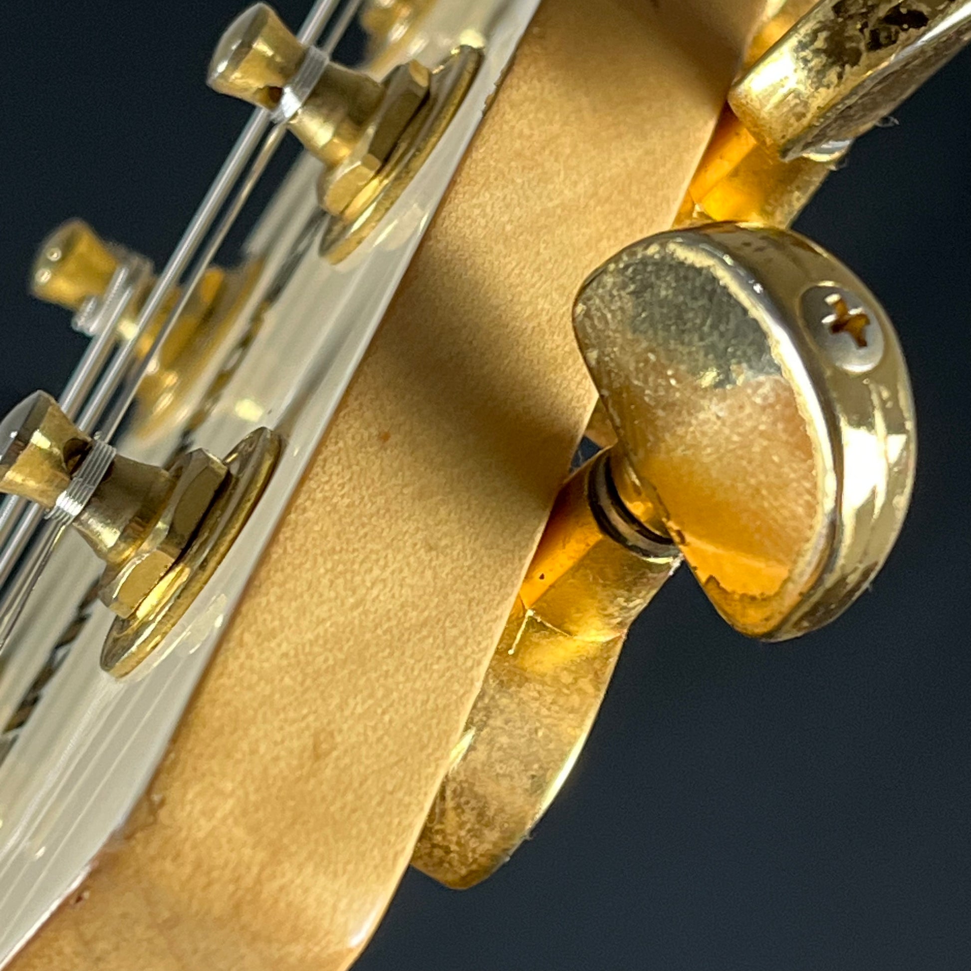 Fernandes FV-80K