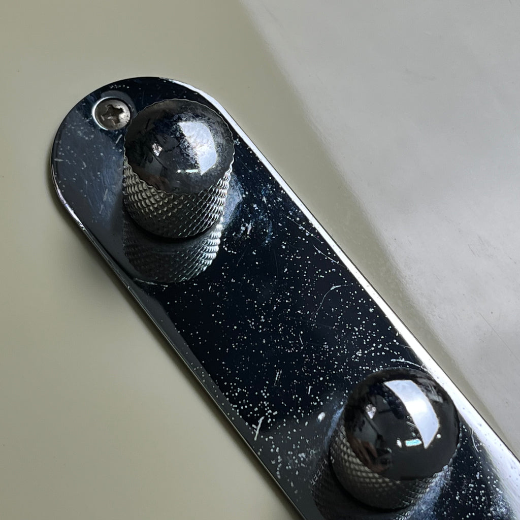 Bacchus Universe Series Telecaster