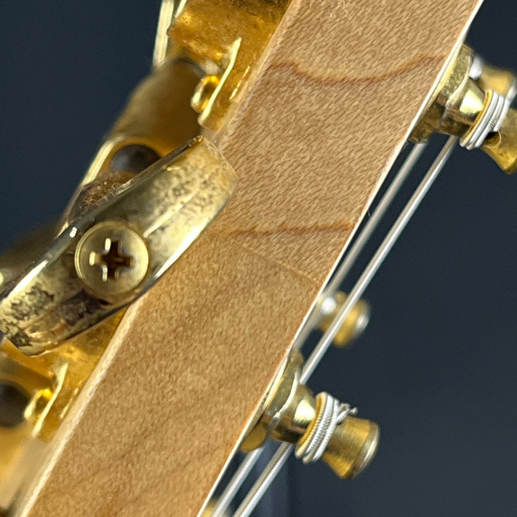 Fernandes FV-80K