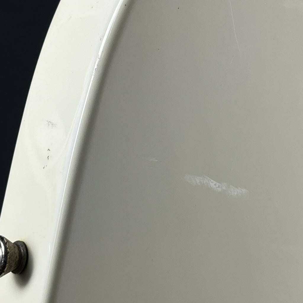 Bacchus Universe Series Telecaster