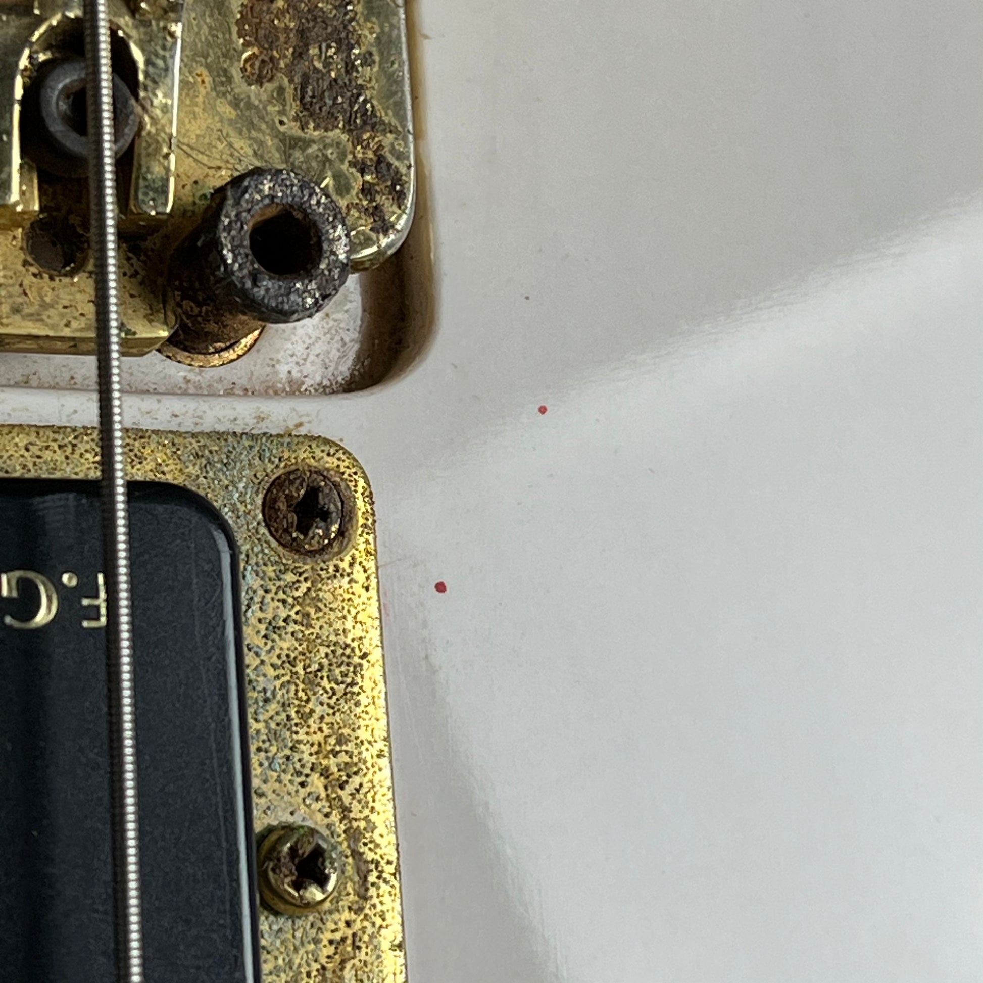 Fernandes FV-80K