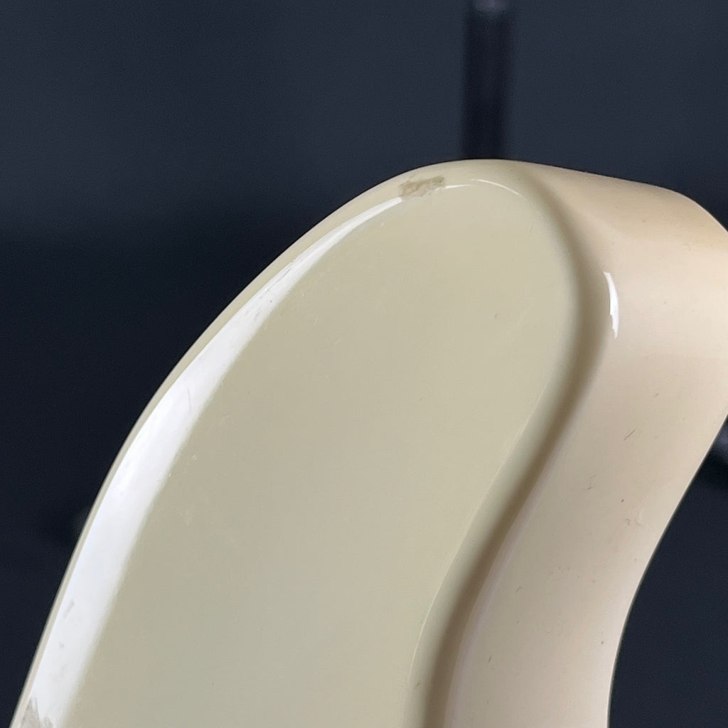 Bacchus Universe Series Telecaster