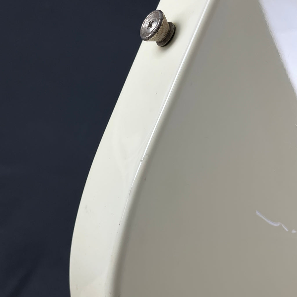 Bacchus Universe Series Telecaster