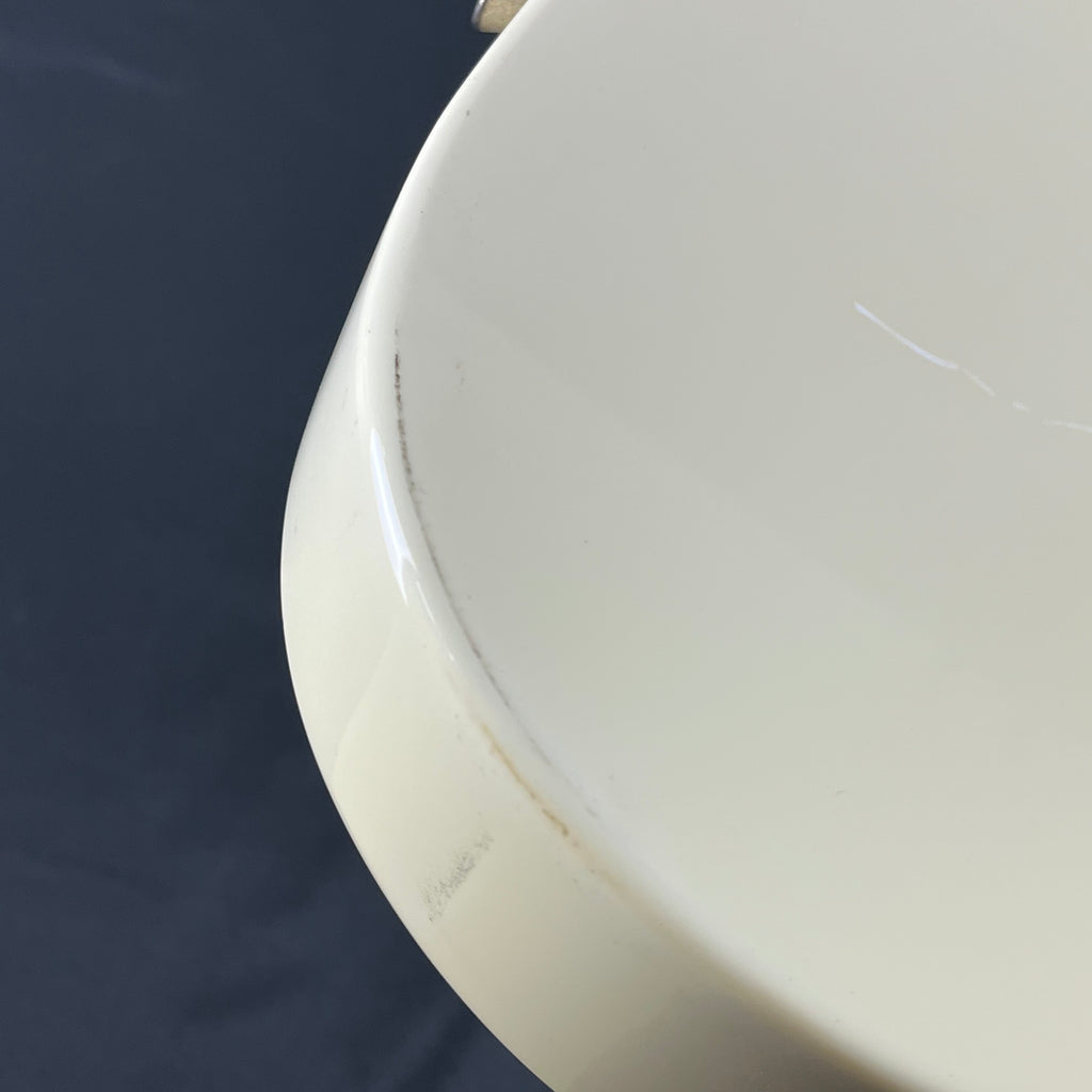 Bacchus Universe Series Telecaster