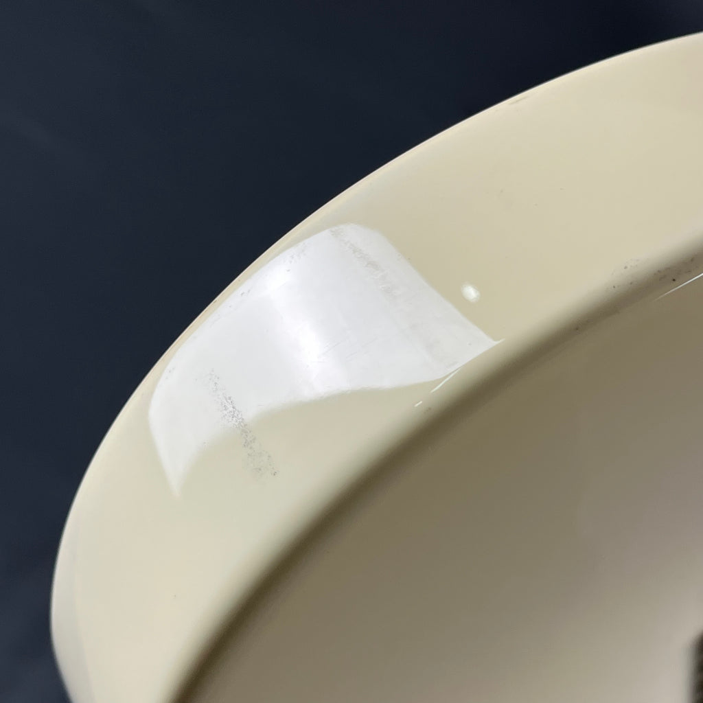 Bacchus Universe Series Telecaster