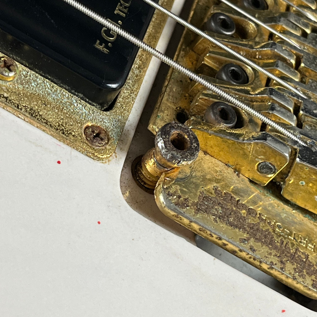 Fernandes FV-80K