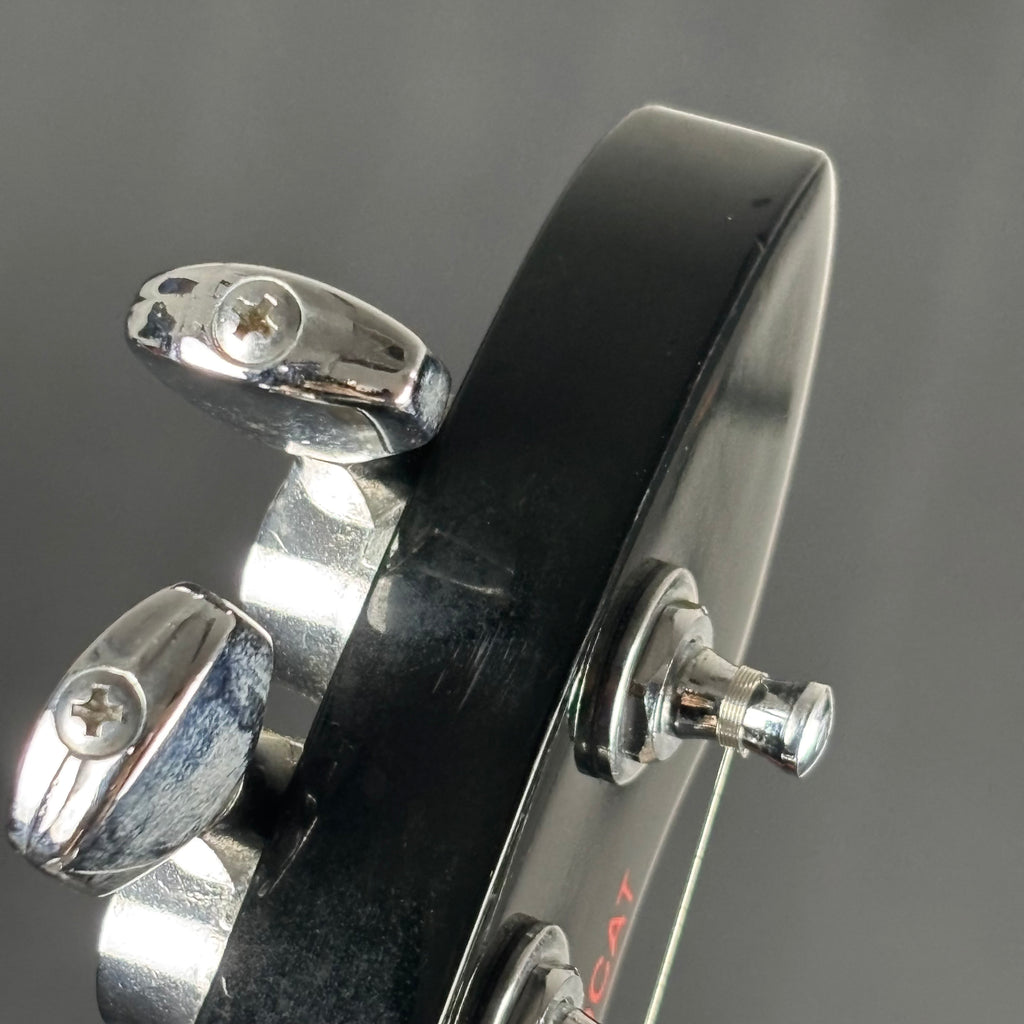 Aria Pro II Wildcat