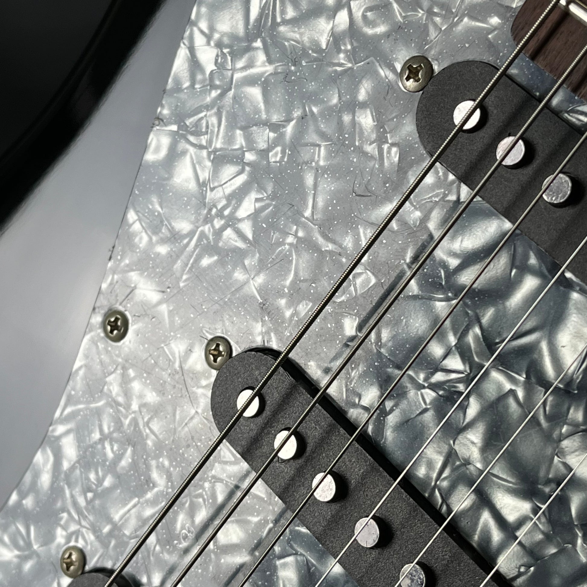 FERNANDES Jaguar
