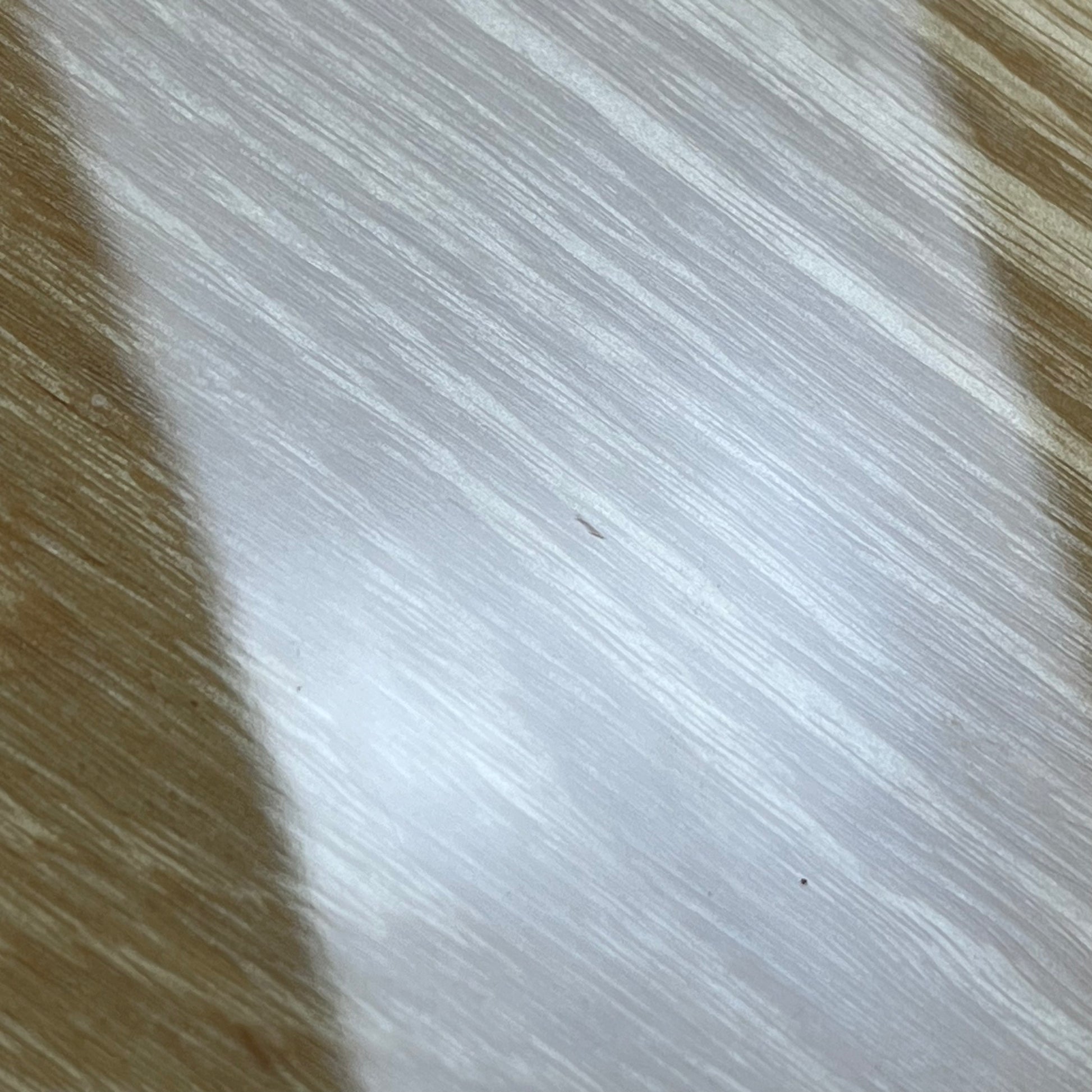 Fender Japan Traditional II 70 Telecaster Thinline 2021