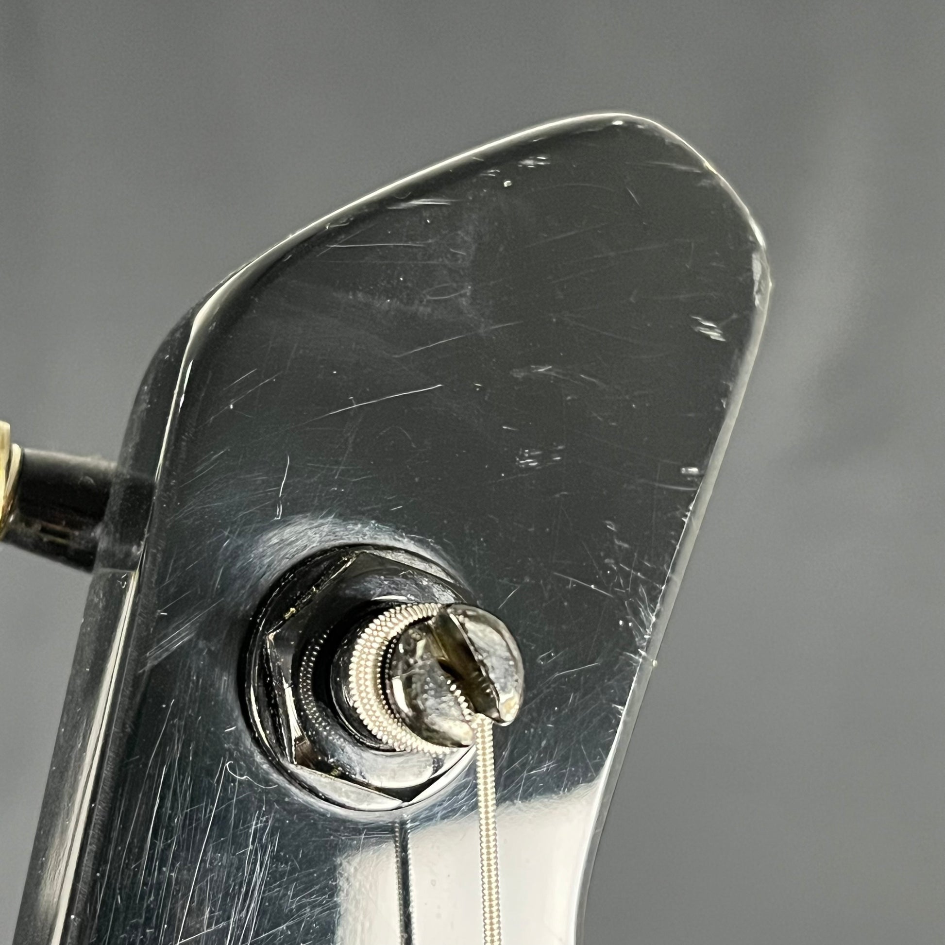 Fernandes FRB-55 Bass