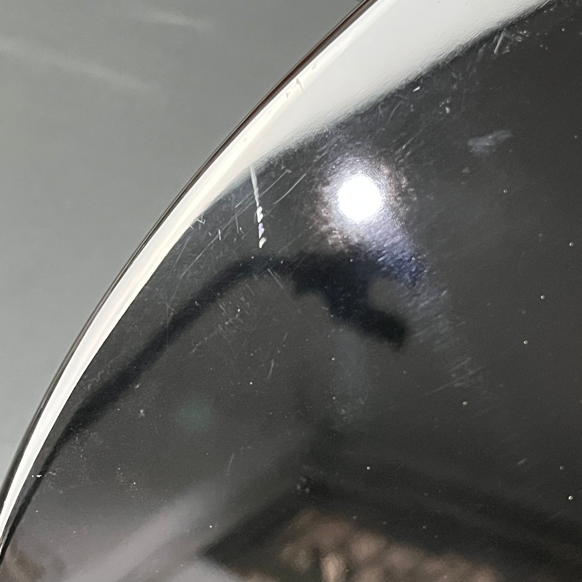 Squier Bullet Mustang