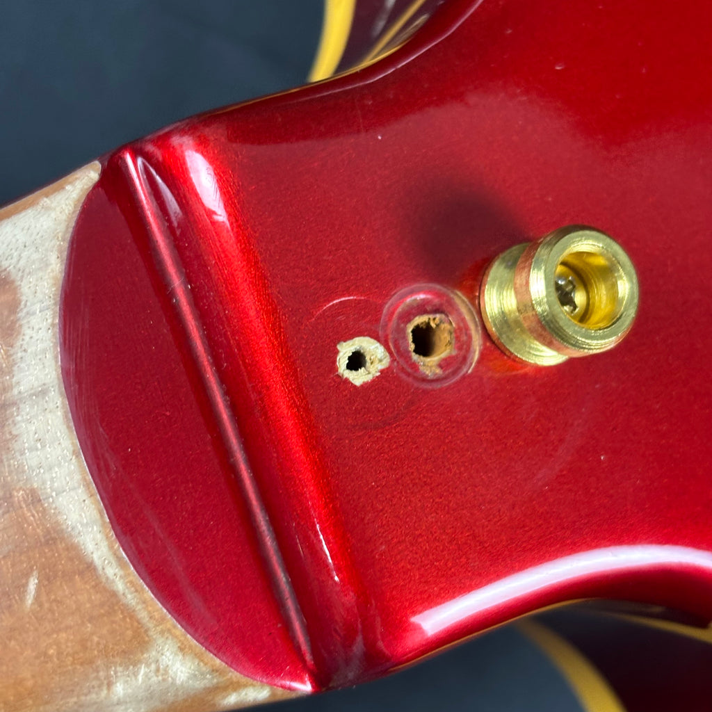 YAMAHA Japan SG510