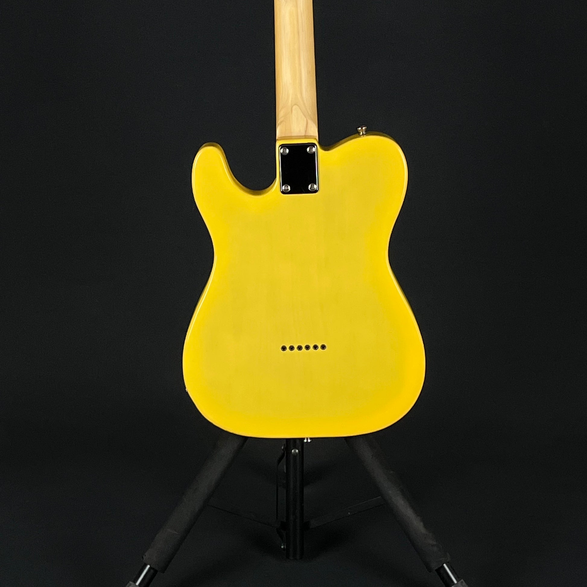 Bacchus Universe Series Telecaster