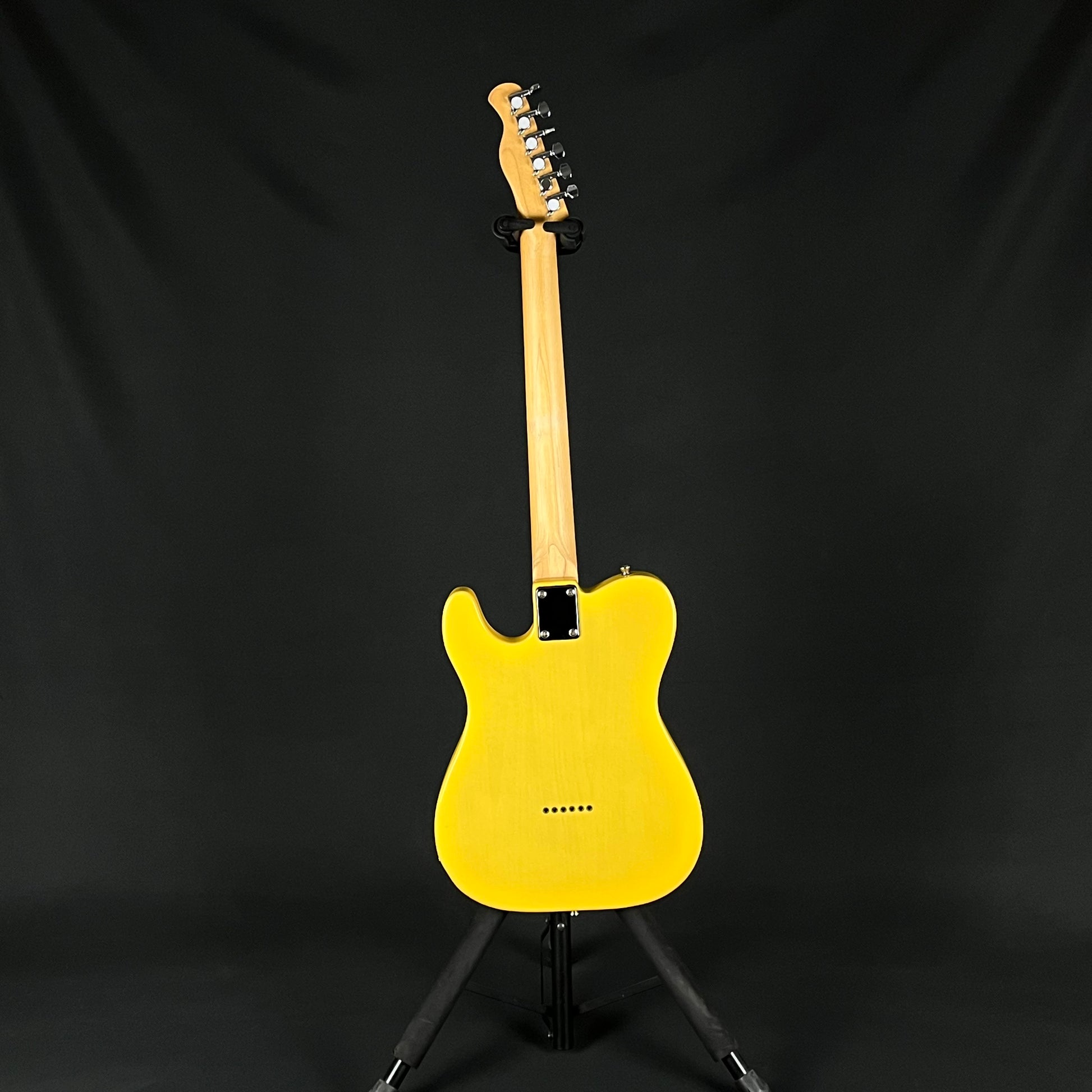 Bacchus Universe Series Telecaster