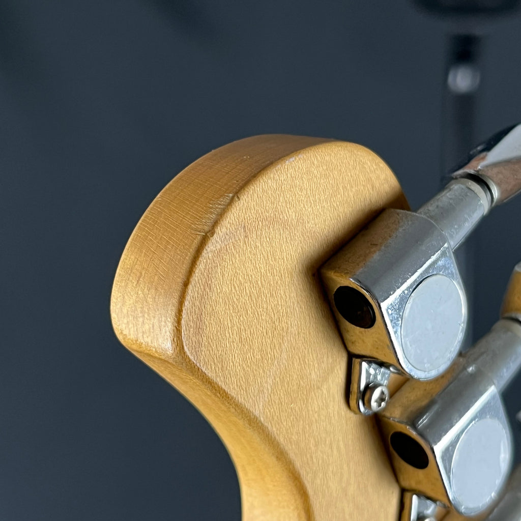 Bacchus Universe Series Telecaster