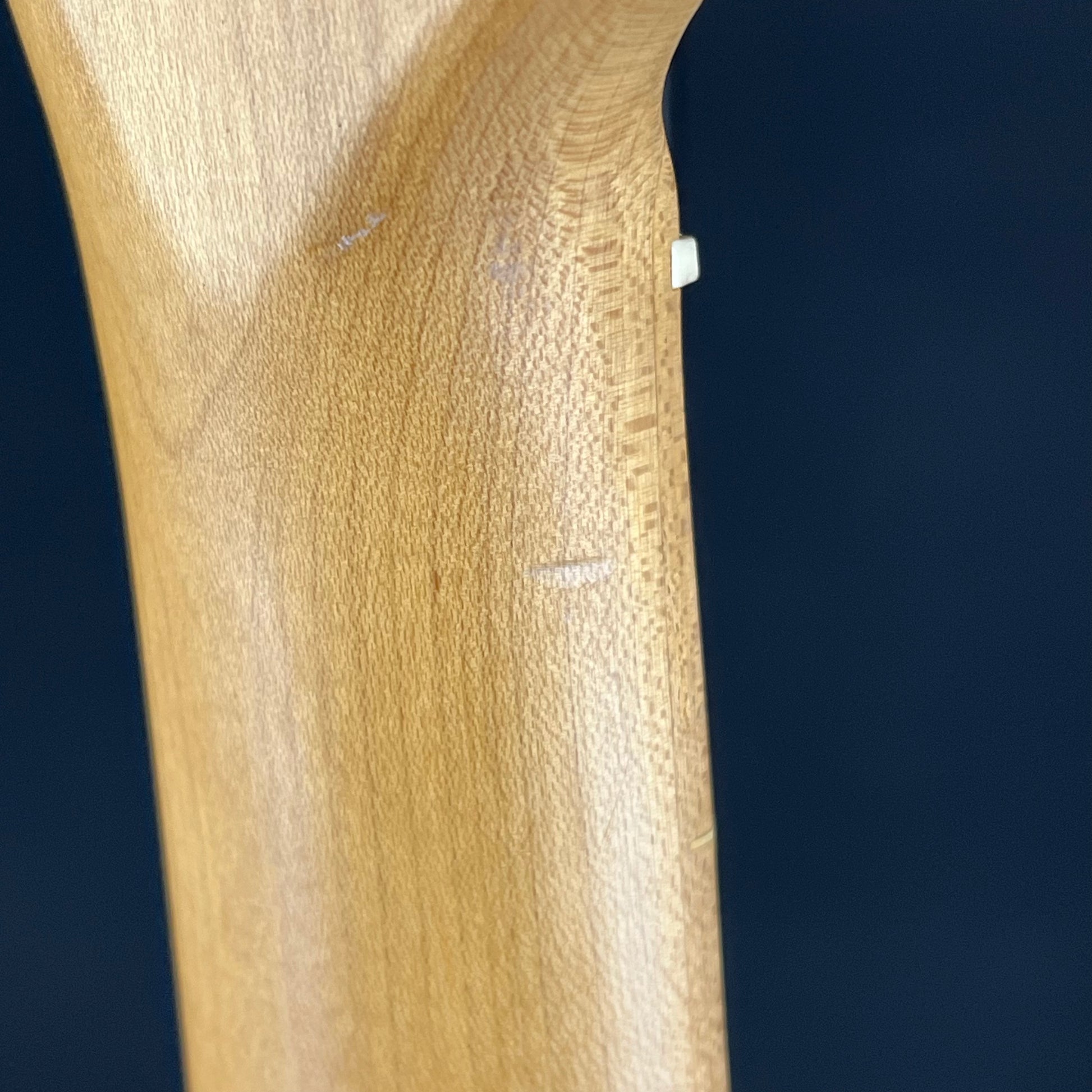 Bacchus Universe Series Telecaster