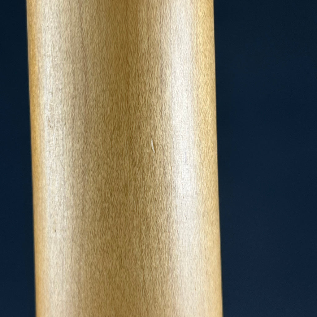 Bacchus Universe Series Telecaster