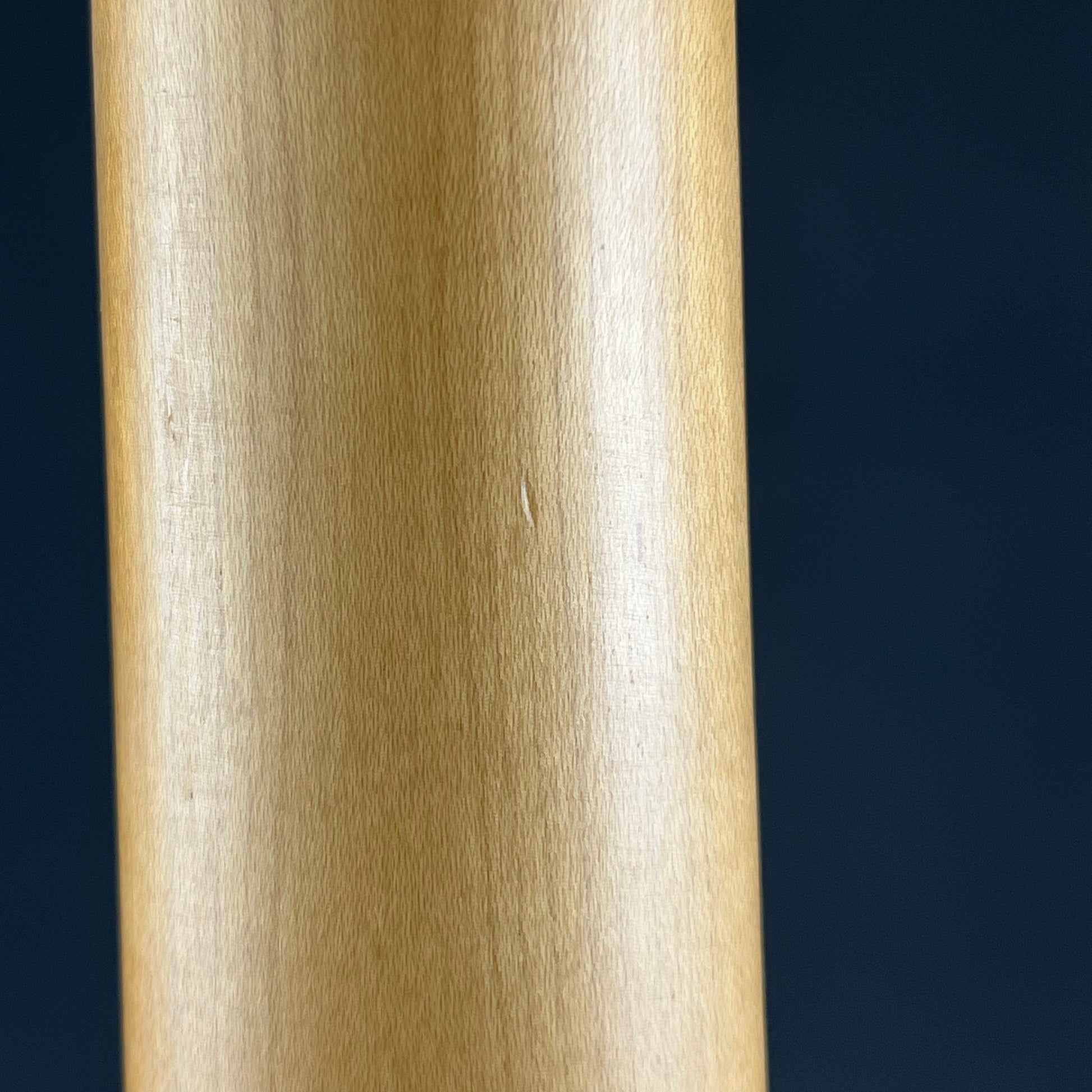 Bacchus Universe Series Telecaster