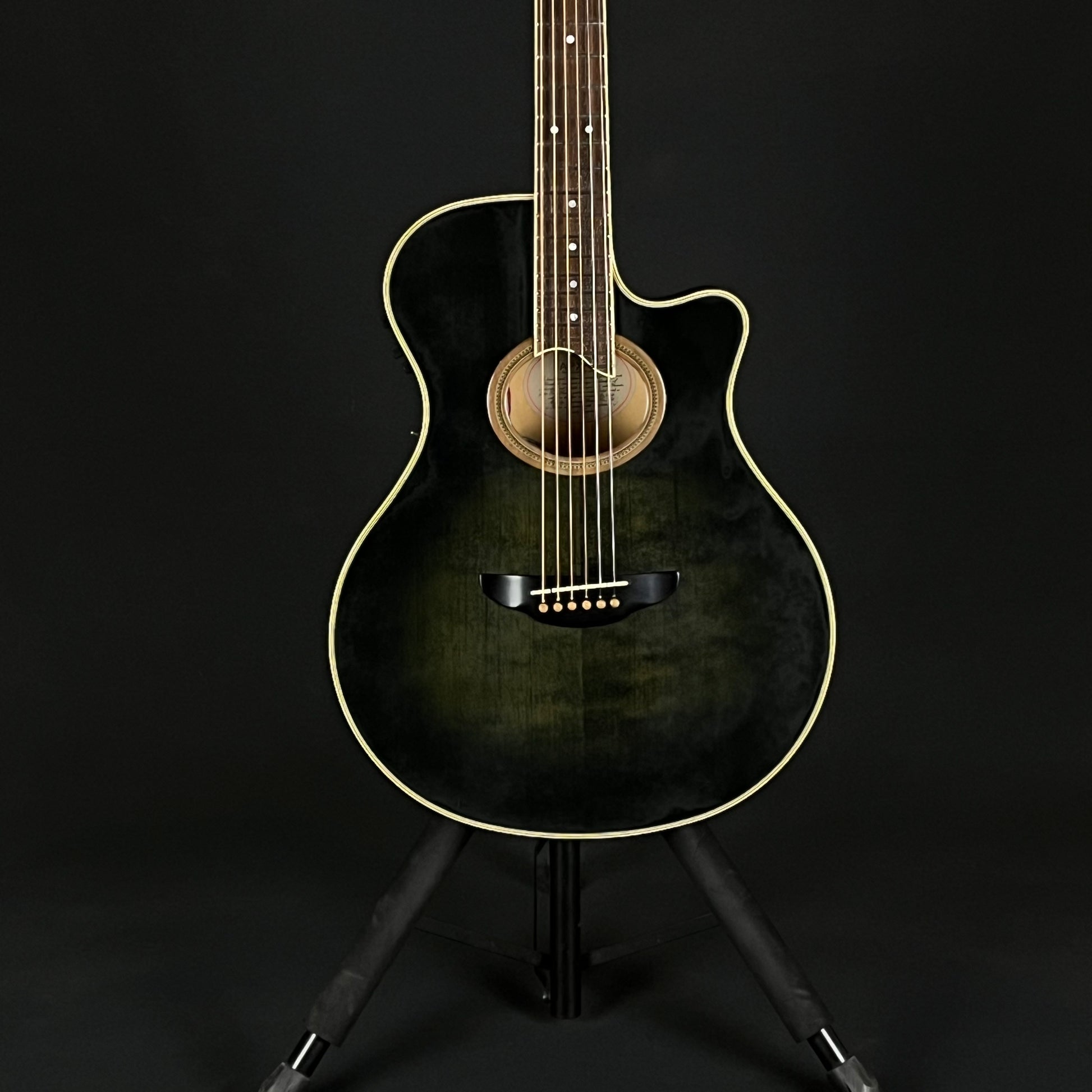 YAMAHA Japan APX-8S