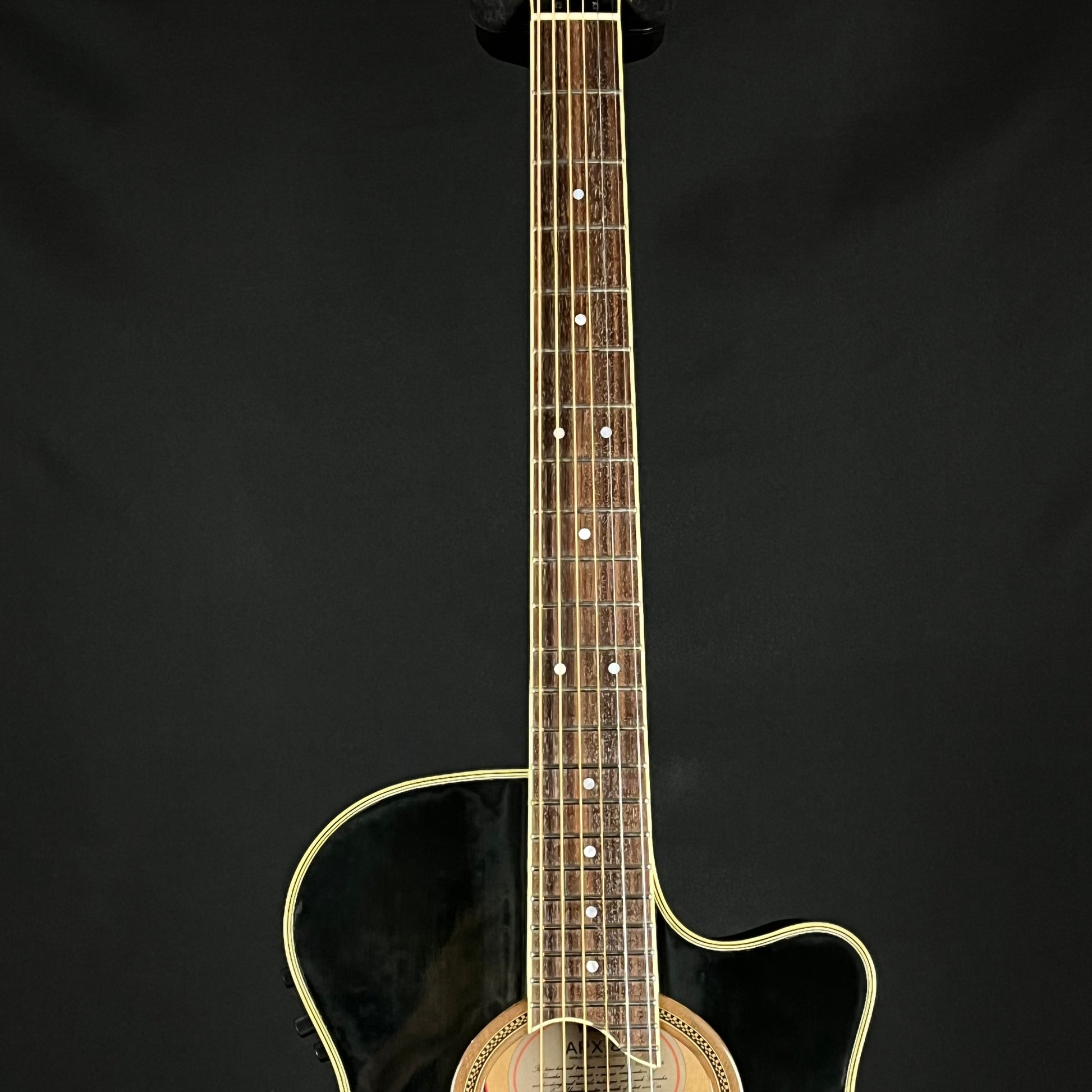 YAMAHA Japan APX-8S