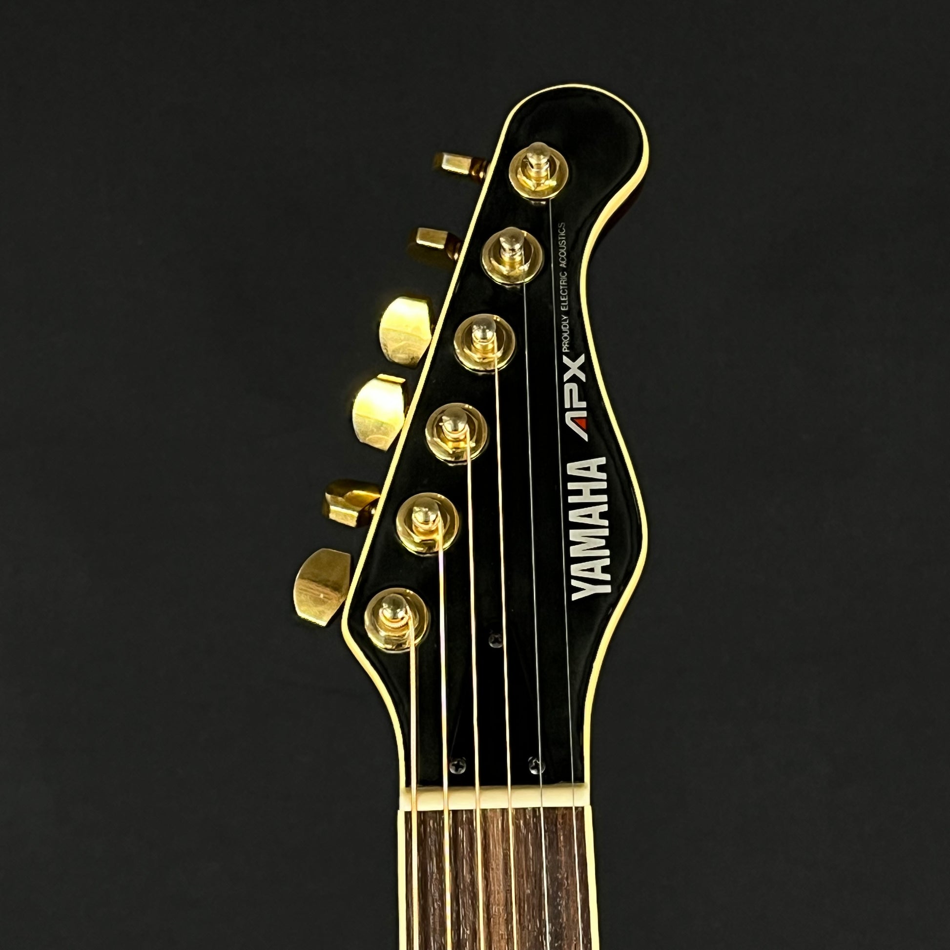YAMAHA Japan APX-8S