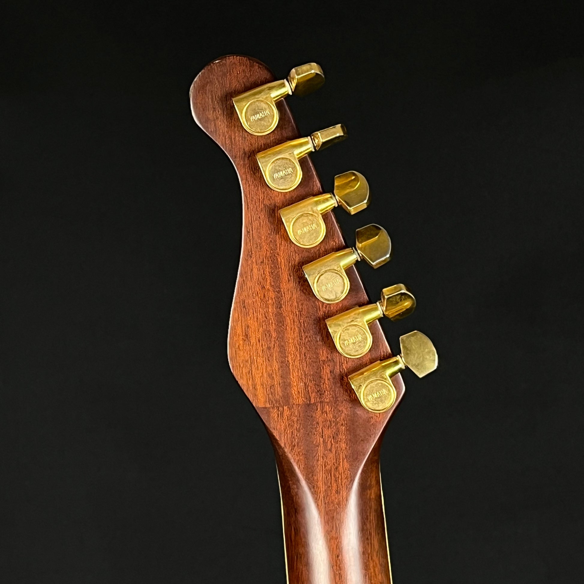 YAMAHA Japan APX-8S