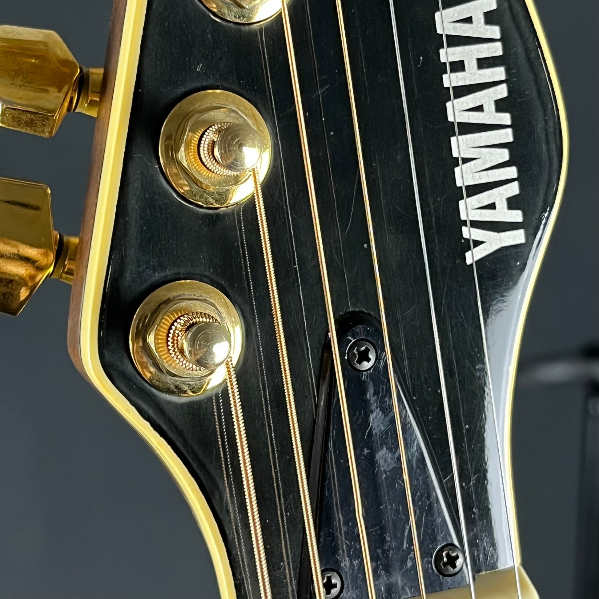 YAMAHA Japan APX-8S