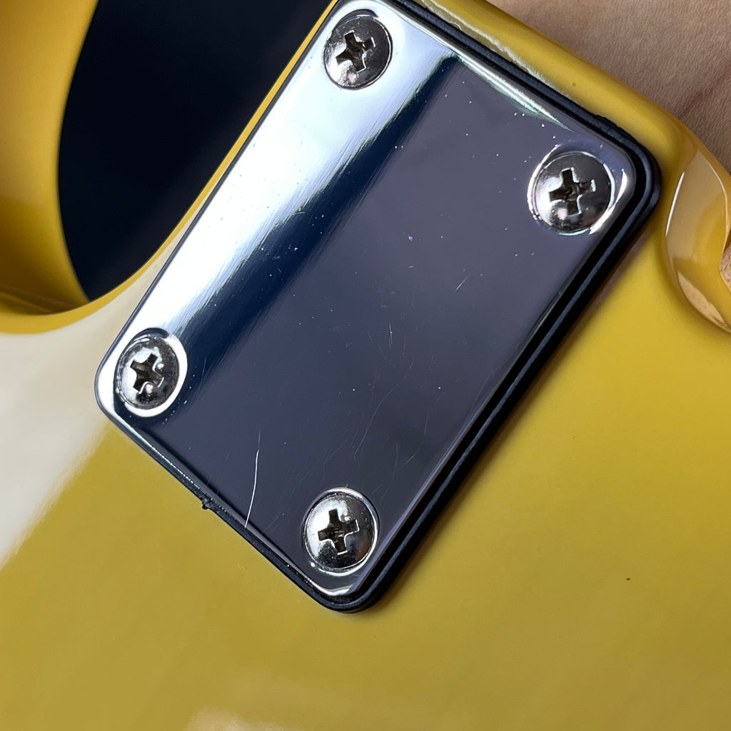Bacchus Universe Series Telecaster