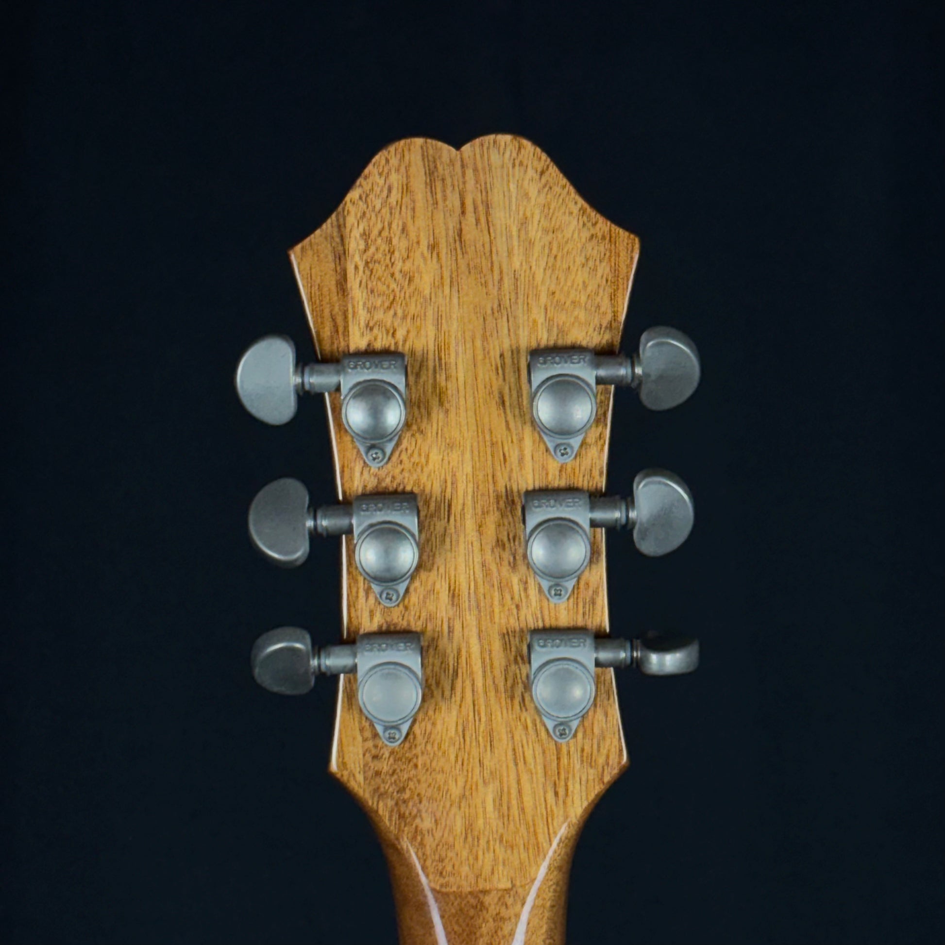 Epiphone DOT NA 2014