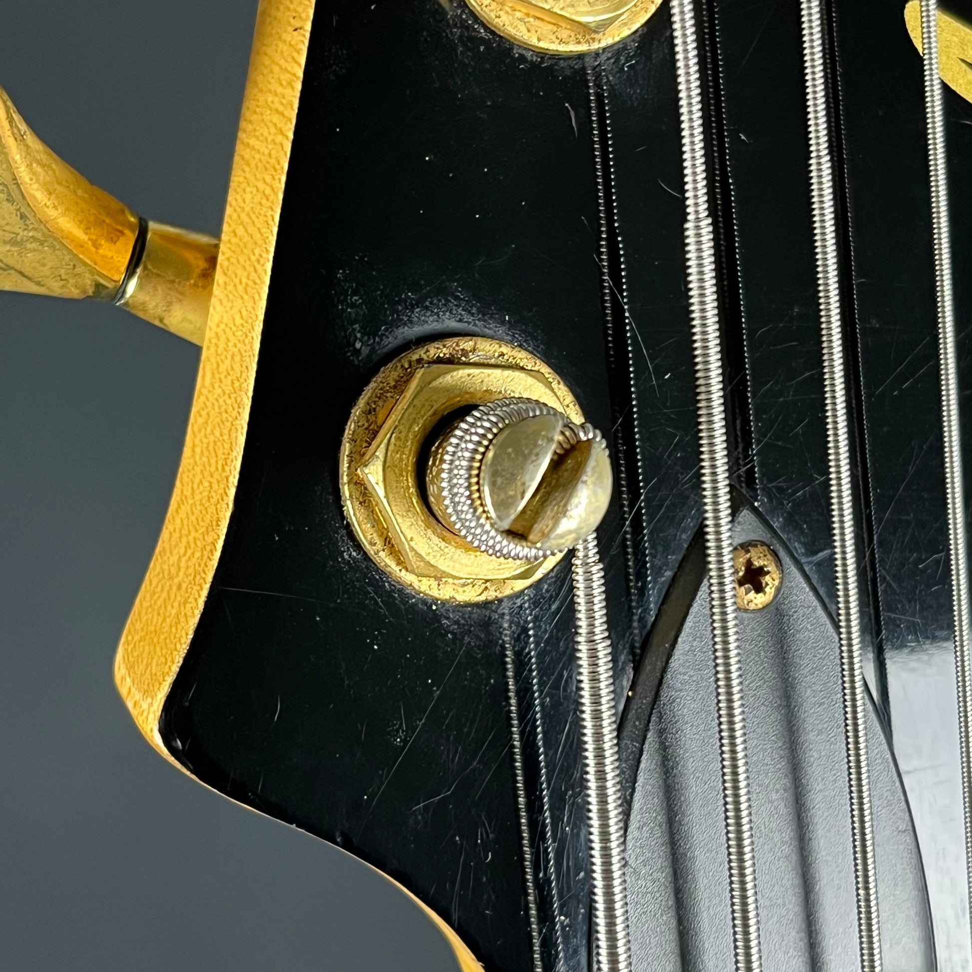 Aria Pro II Bass