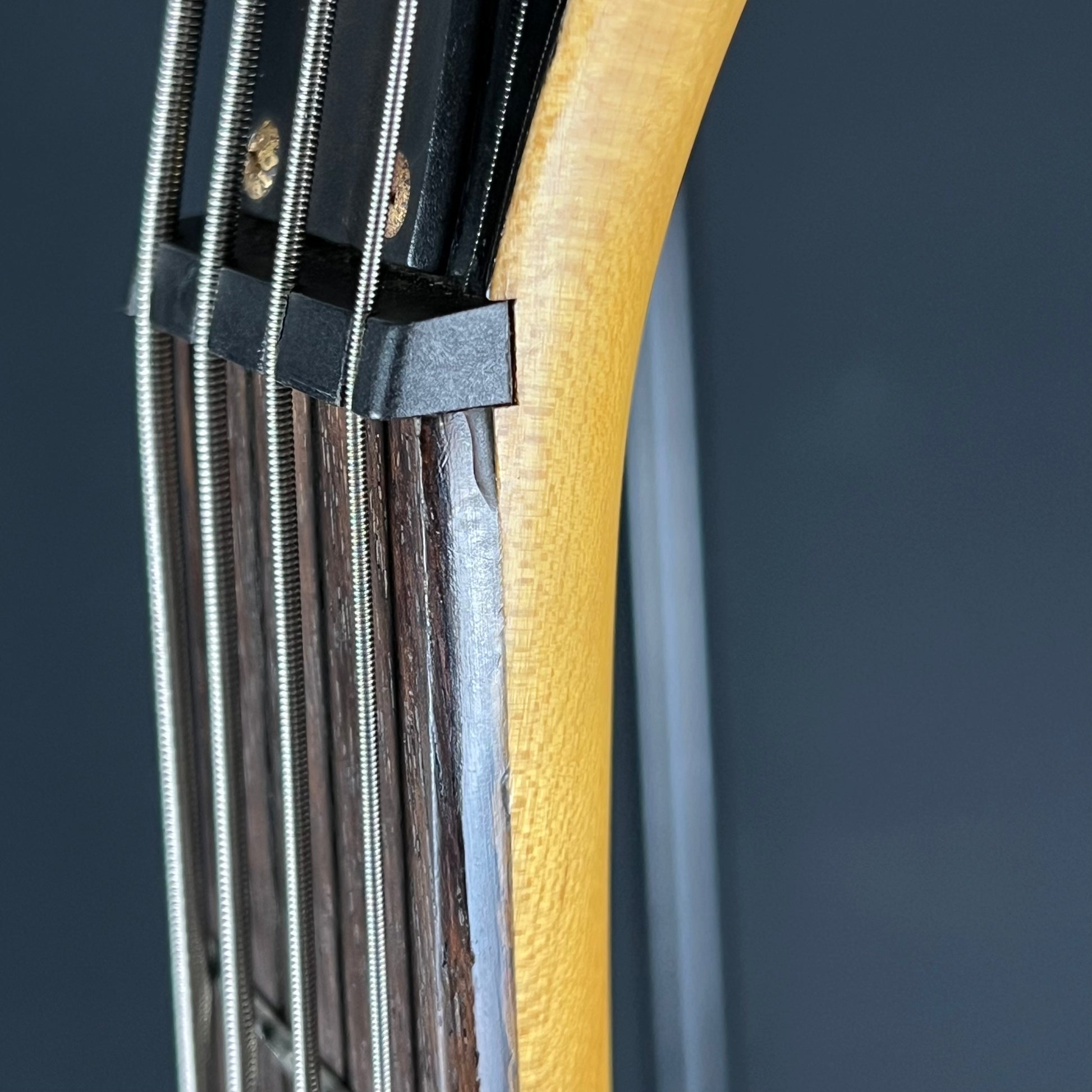 Aria Pro II Bass