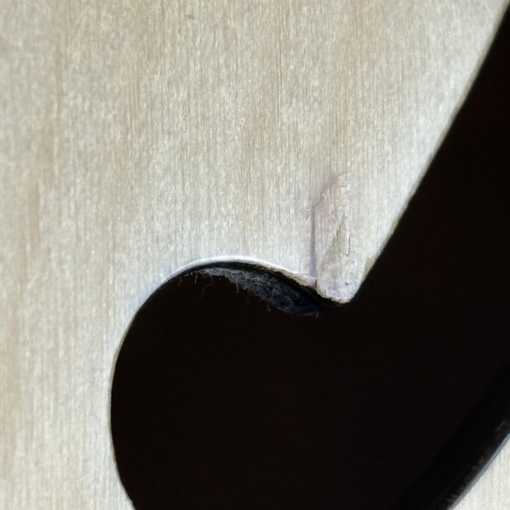 Epiphone DOT NA 2014