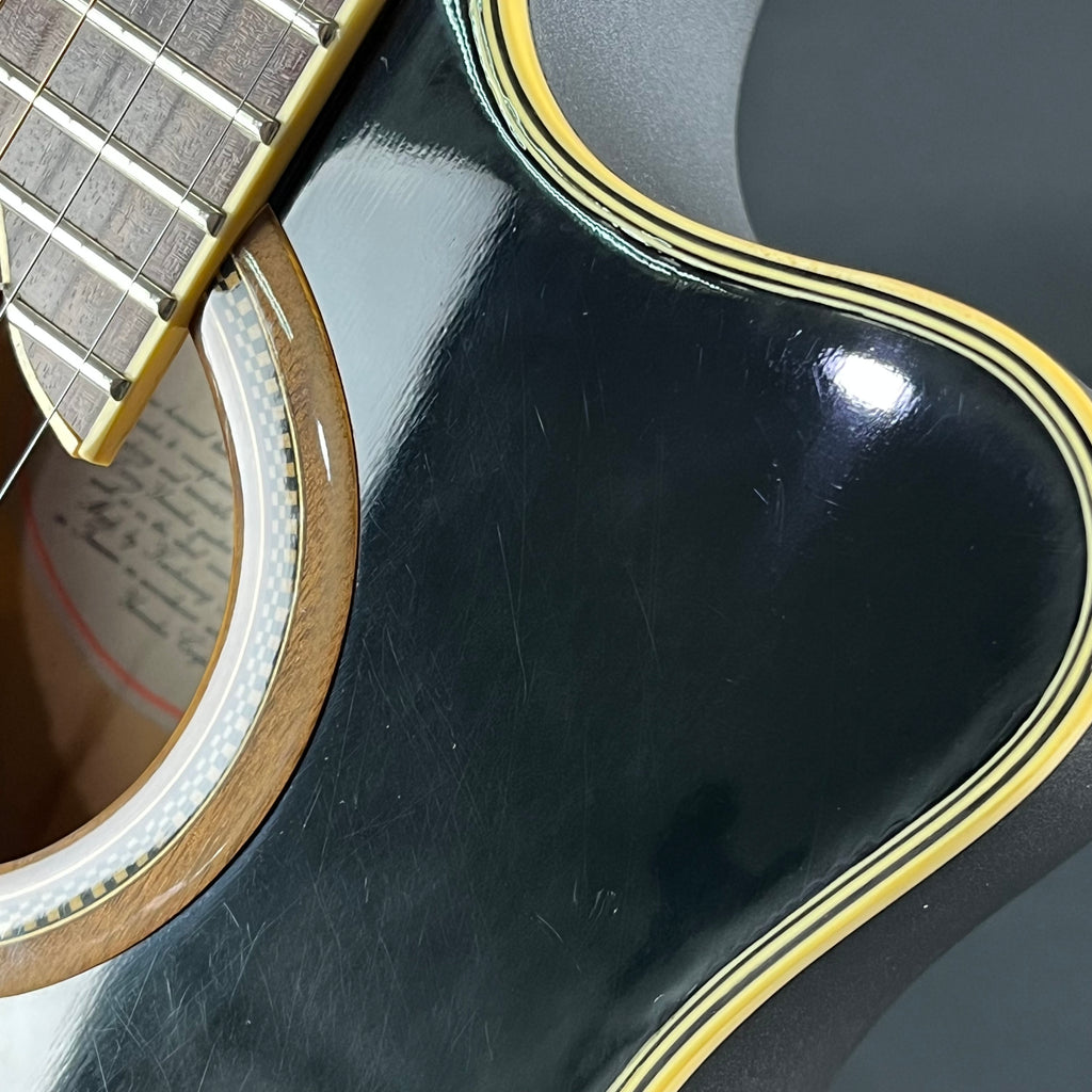 YAMAHA Japan APX-8S