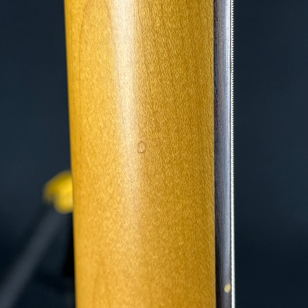 Aria Pro II Bass